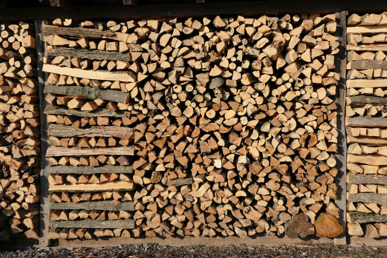 Panasonic Lumix DMC-FZ2500 (Lumix DMC-FZ2000) sample photo. Growing stock, firewood, holzstapel photography