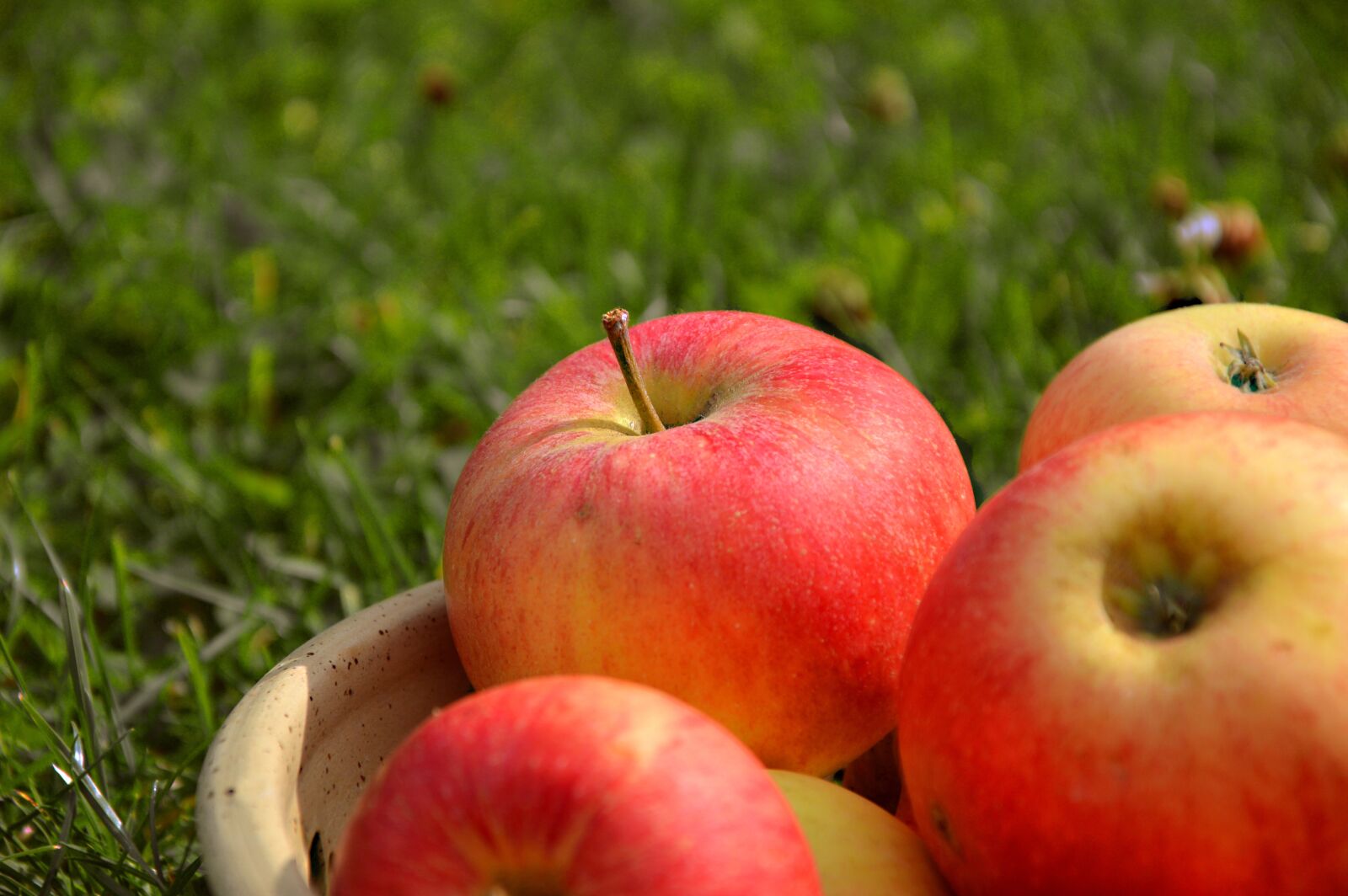 Nikon D3200 sample photo. Apple, fruit, pome fruit photography