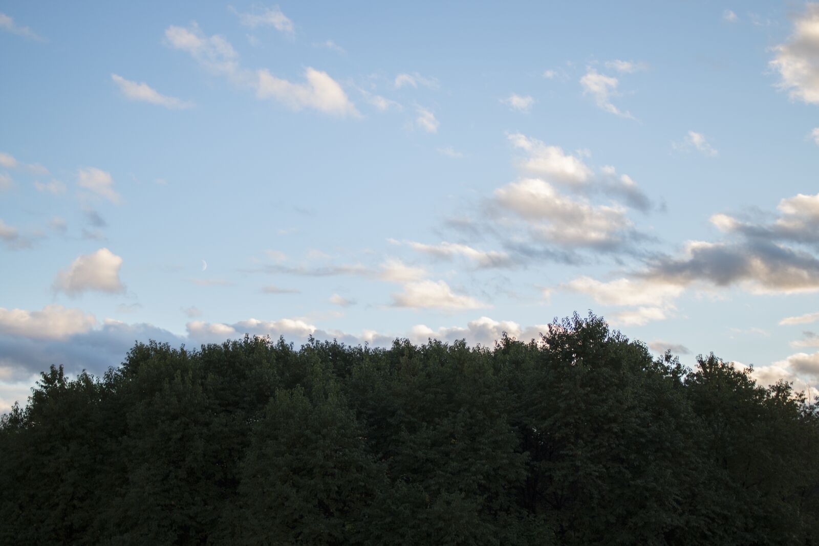 Canon EF 35mm F2 sample photo. Sky, blue, wood photography