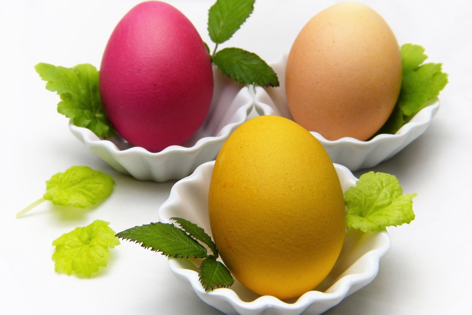 Panasonic Lumix DMC-FZ150 sample photo. Egg, food, easter photography
