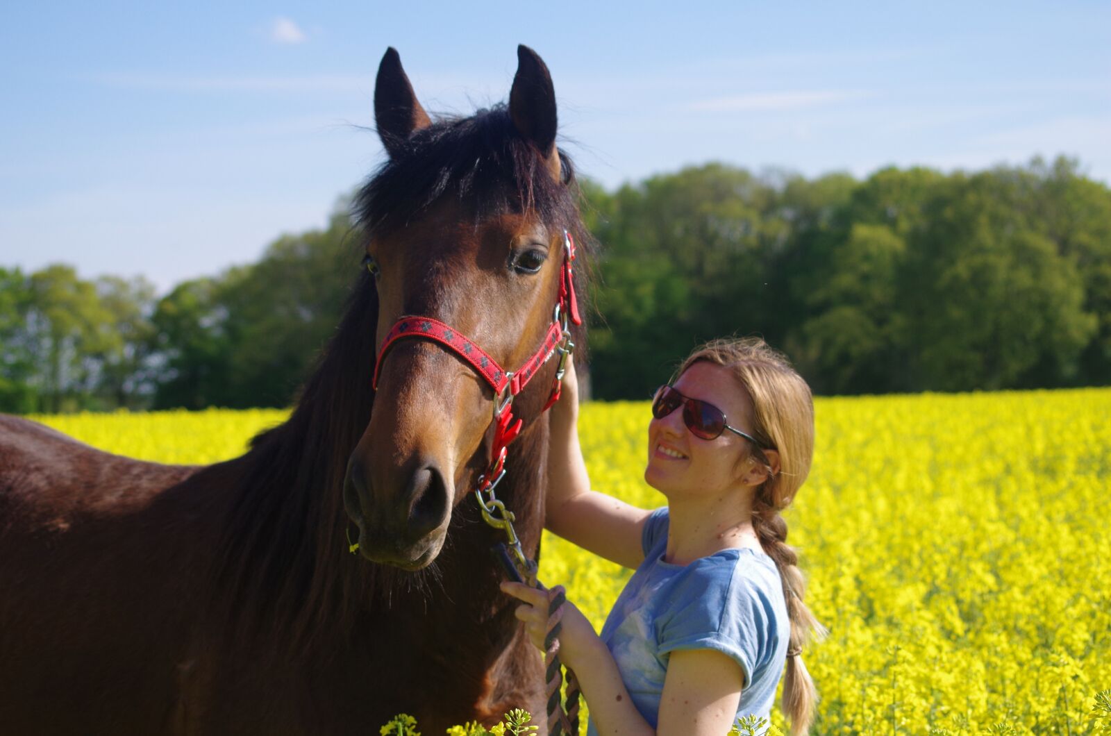 Pentax K-30 sample photo. Horse, meadow, friends photography