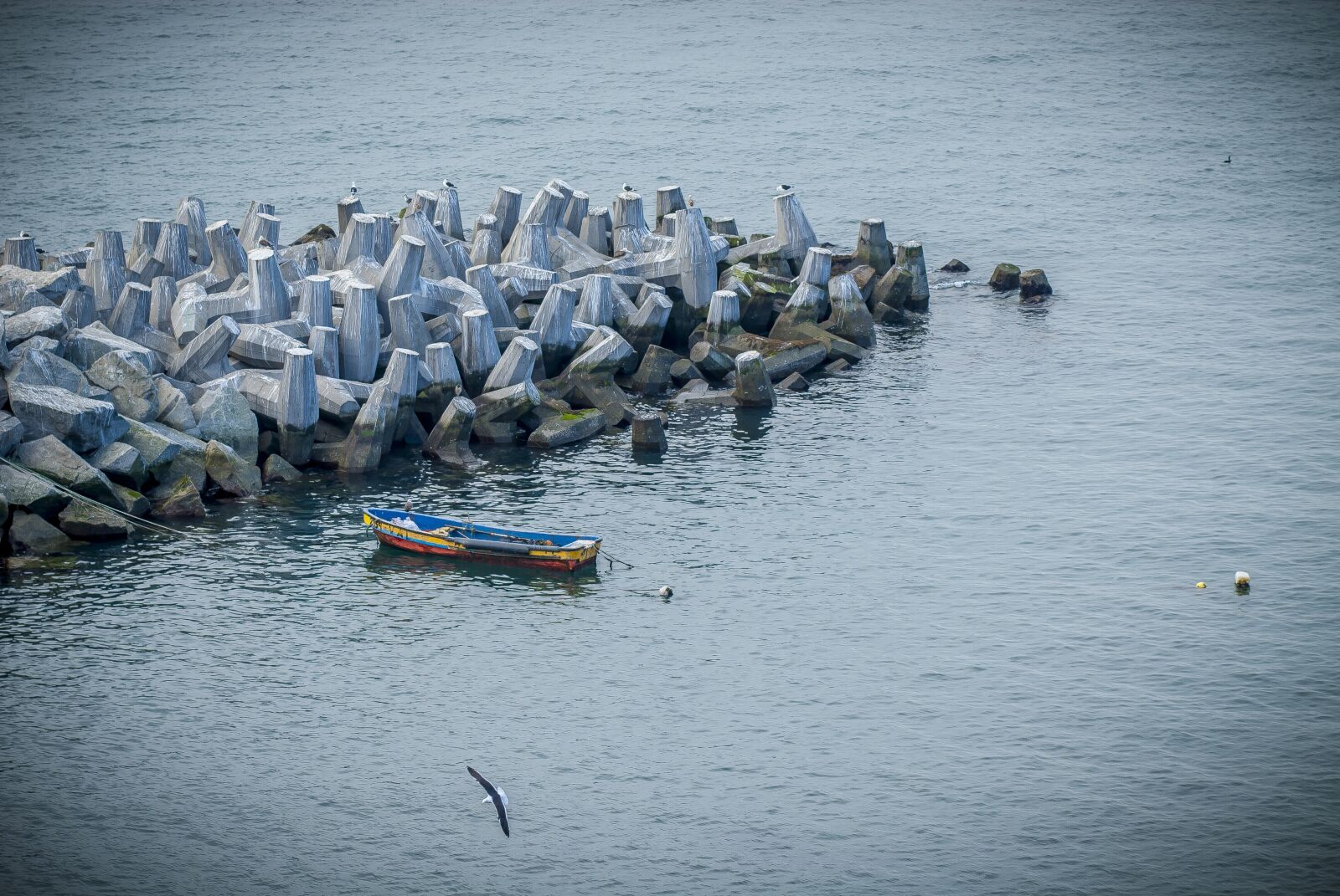 Nikon D200 sample photo. Boat, sea, water photography