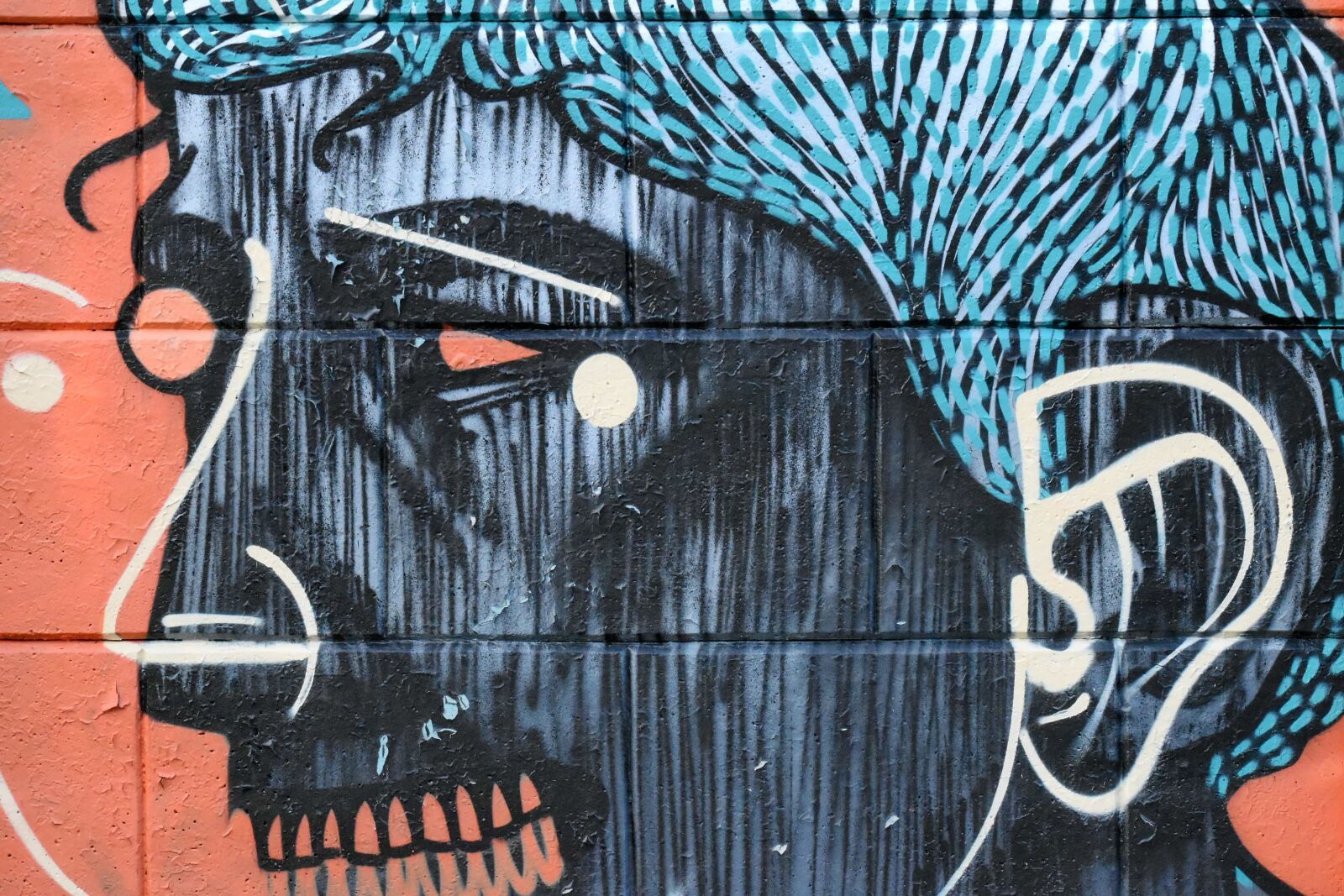 Nikon D5500 sample photo. Artistic, creativity, portrait, wall photography