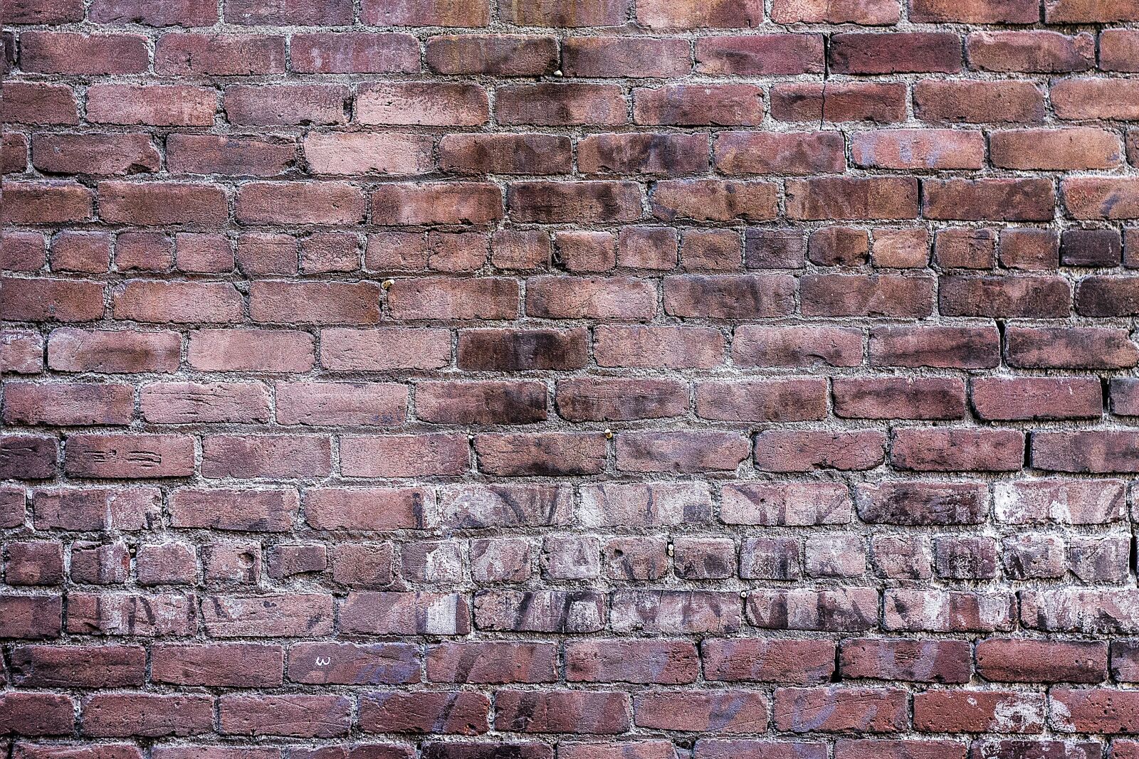 Canon EOS 1100D (EOS Rebel T3 / EOS Kiss X50) + Canon EF 50mm F1.8 II sample photo. Background, texture, wall photography