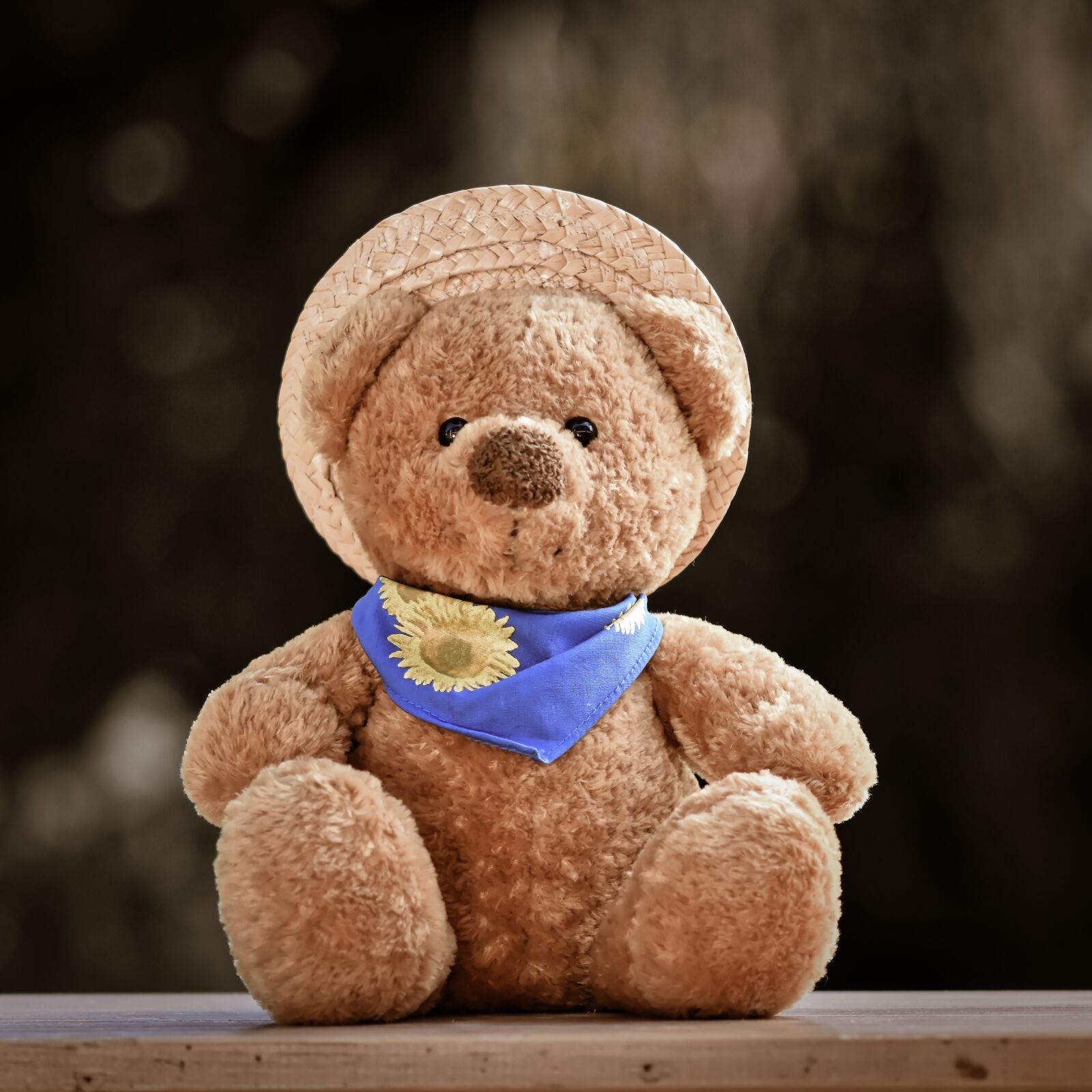 Nikon D7200 sample photo. Teddy, cute, soft toy photography