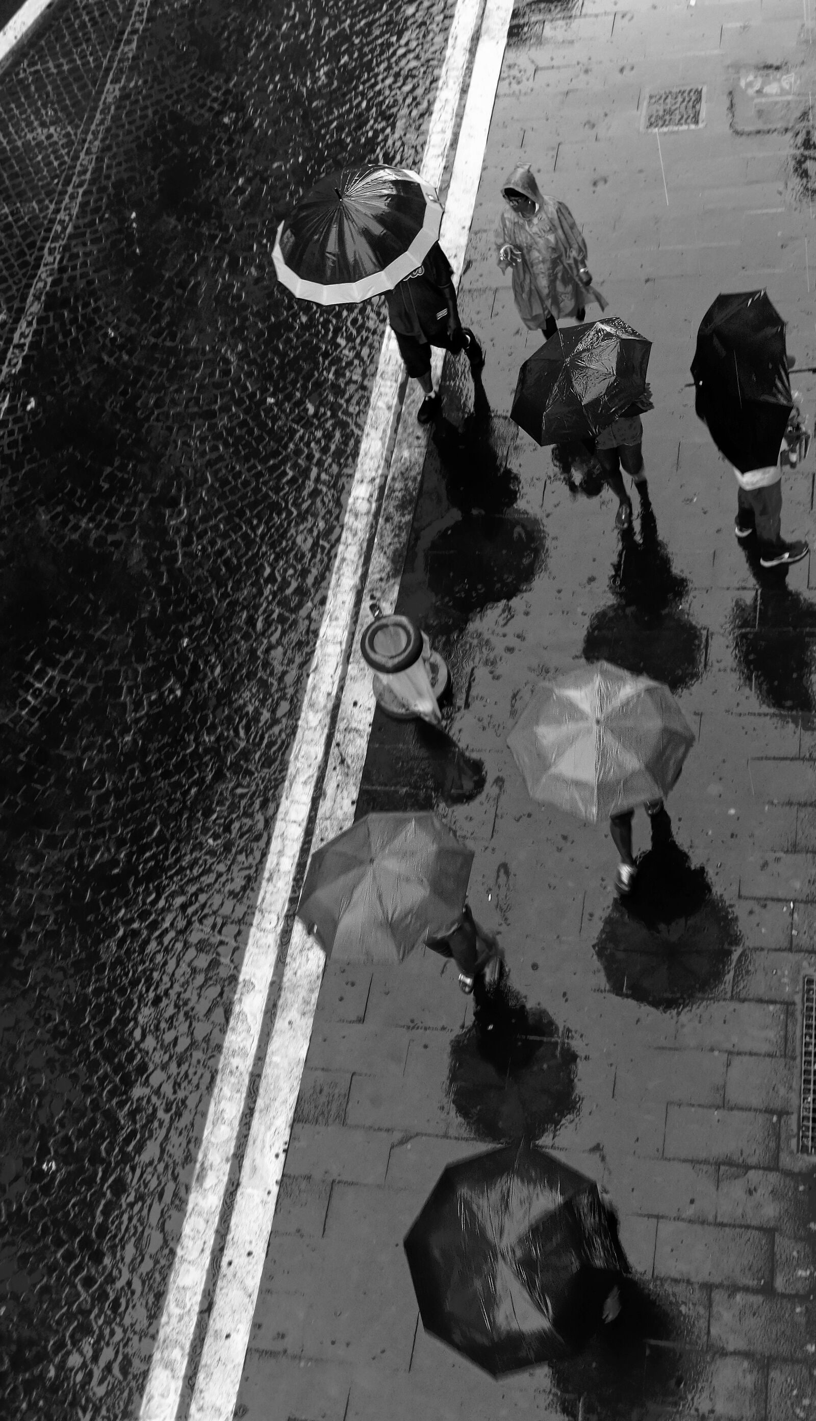 Canon EOS 450D (EOS Rebel XSi / EOS Kiss X2) sample photo. Street, rain, umbrella photography