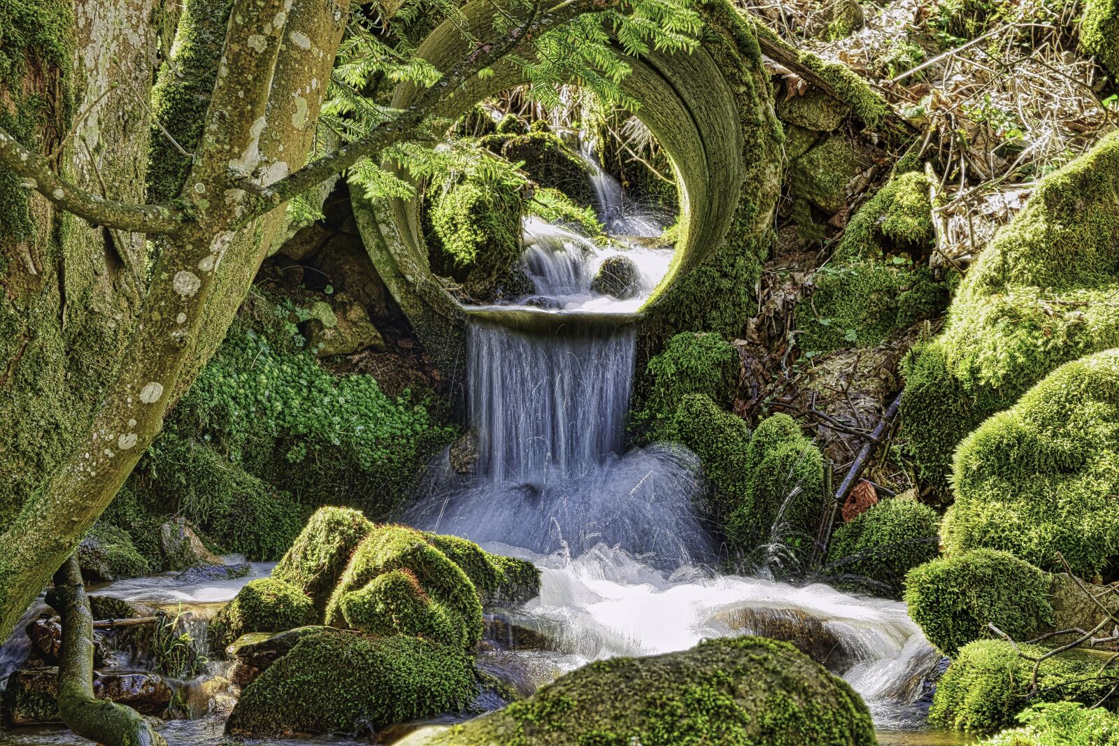 Nikon D5300 sample photo. Creek, nature, waterfall photography