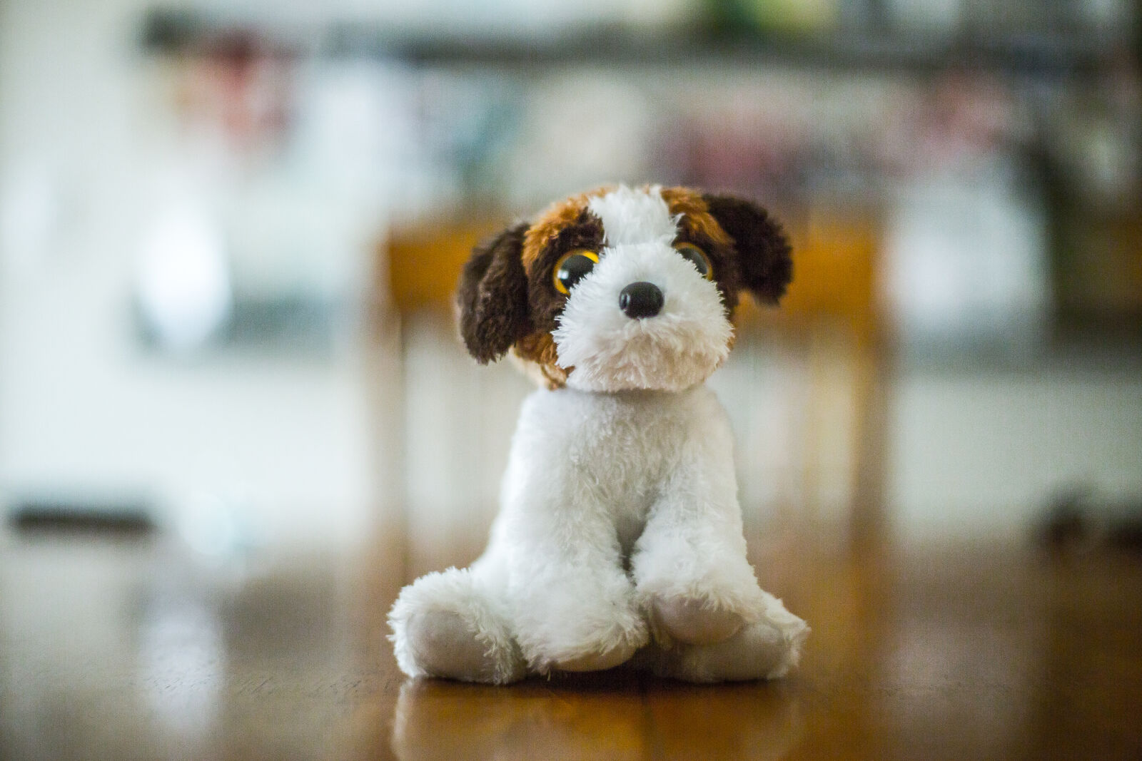 Canon EOS 6D + Canon EF 50mm F1.4 USM sample photo. Puppy, toy photography