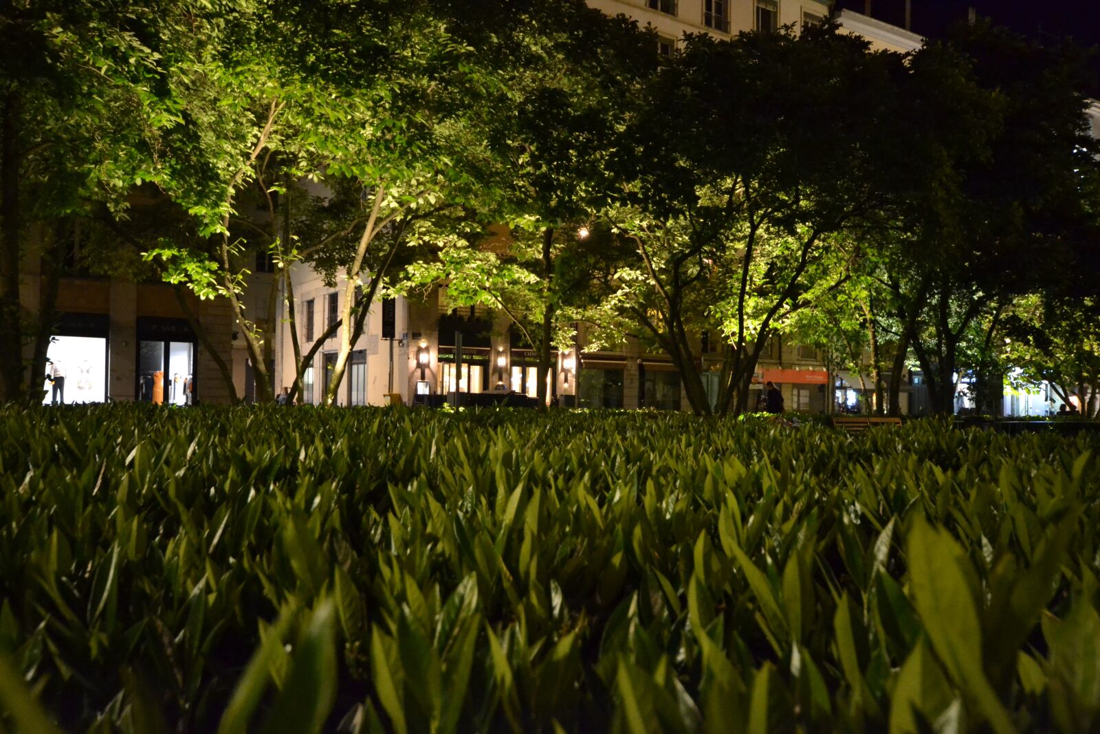 Nikon D3100 sample photo. Monument, lyon, night photography