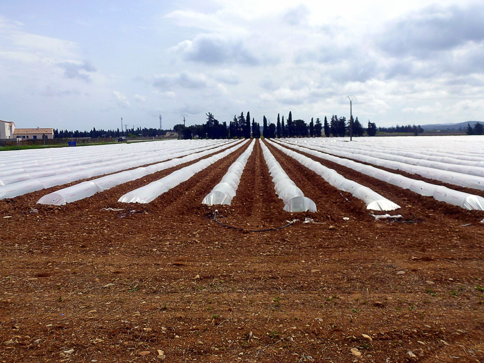 Panasonic Lumix DMC-ZS10 (Lumix DMC-TZ20 / Lumix DMC-TZ22) sample photo. Agro-industry, earth, outdoor photography