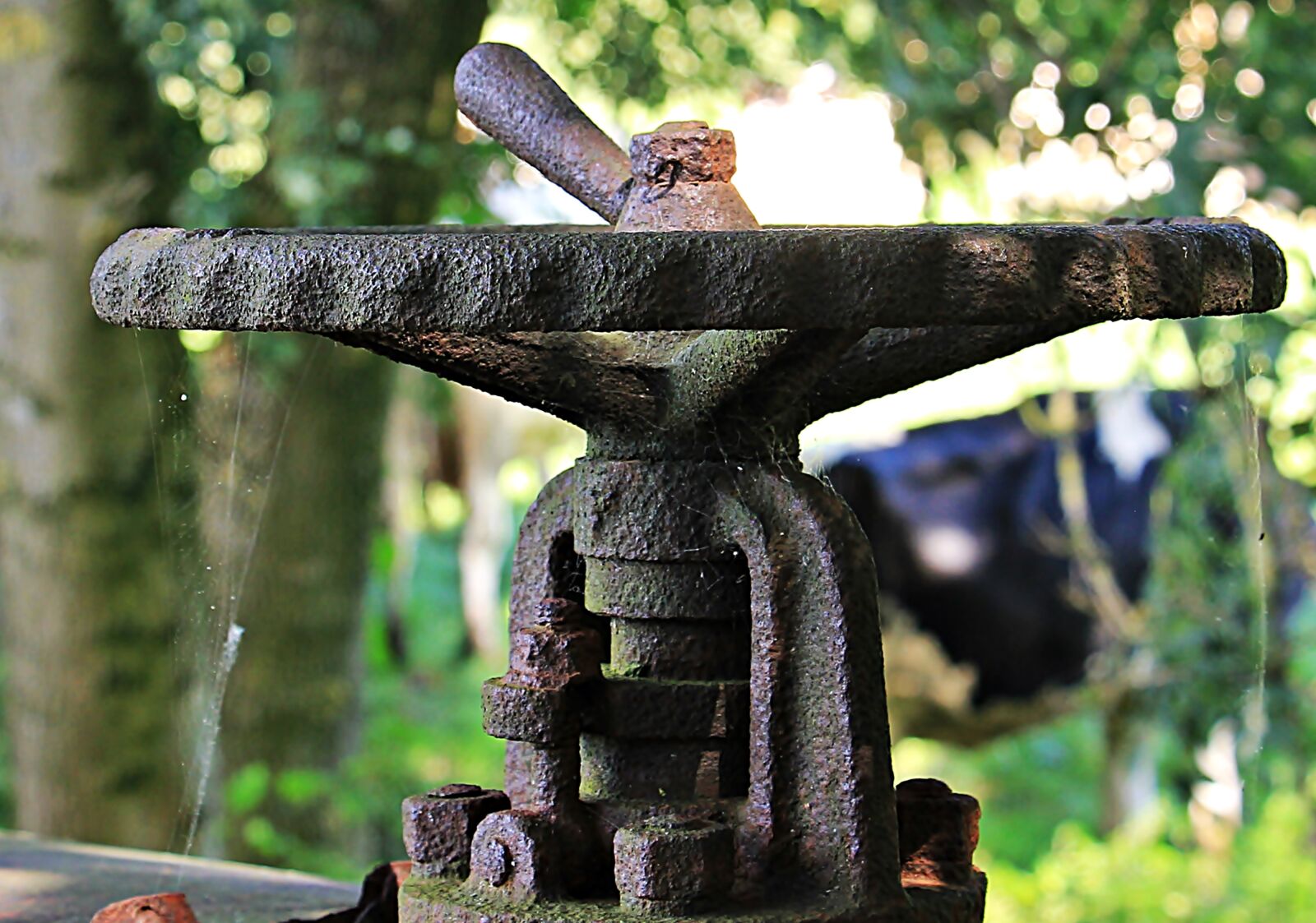 Canon EOS 550D (EOS Rebel T2i / EOS Kiss X4) sample photo. Trains, train cemetery, zughalde photography