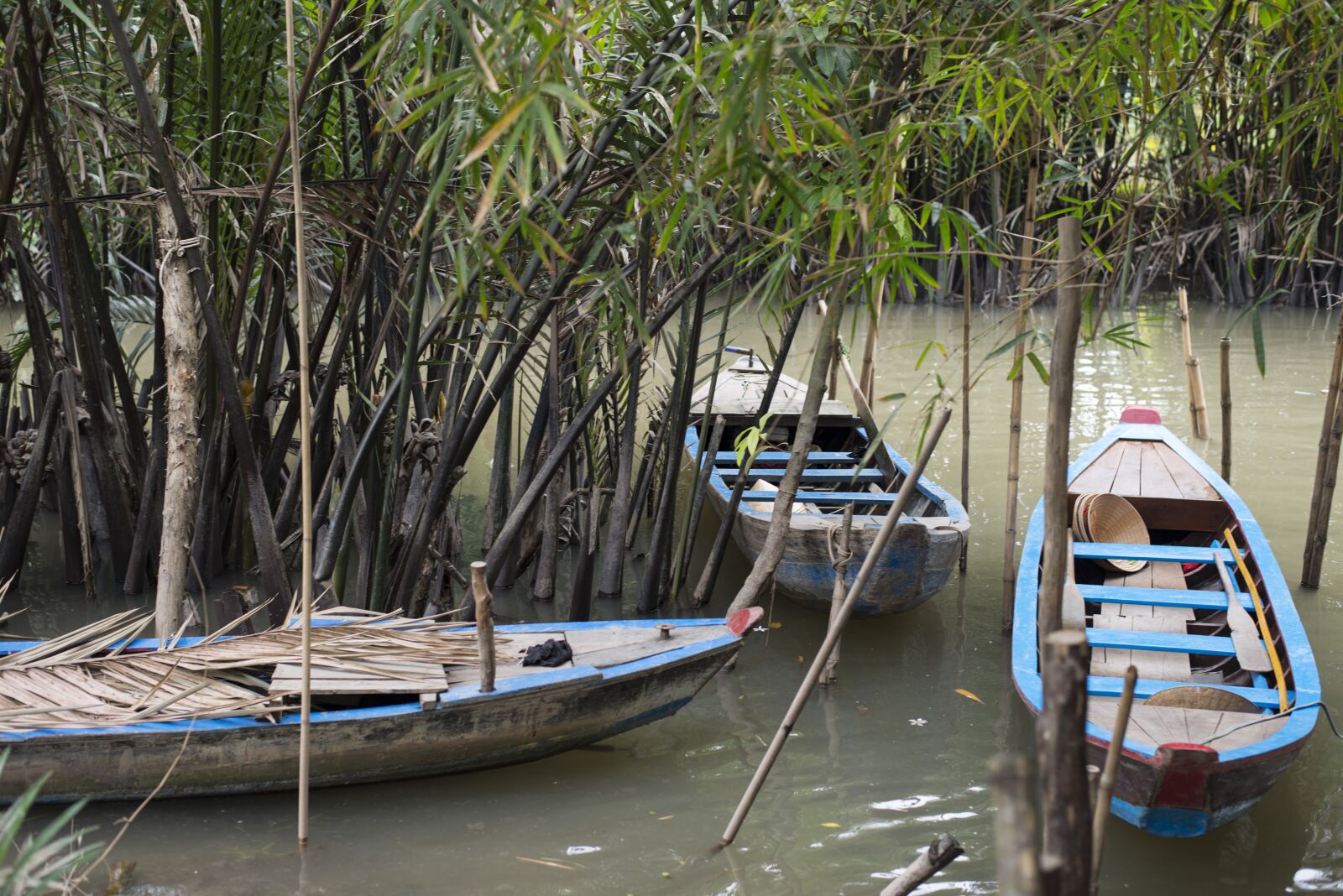 Nikon D800 sample photo. Viet nam, river, boat photography