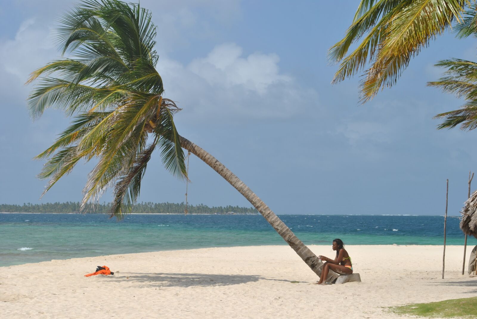 Nikon D3000 sample photo. Palm tree, beach, women photography