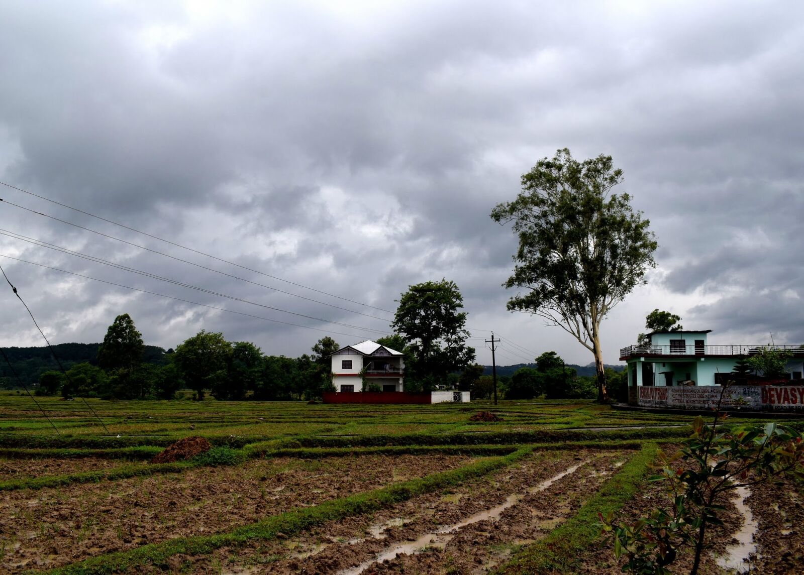 Nikon D3300 sample photo. Rainy season, sky, clouds photography