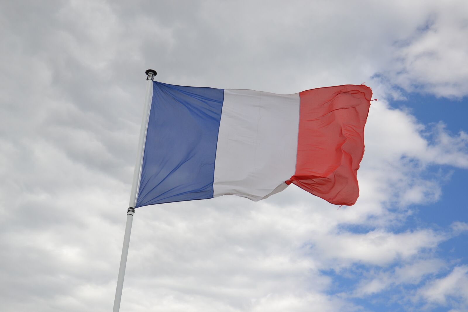 Nikon D3100 sample photo. France, flag, tricolor photography