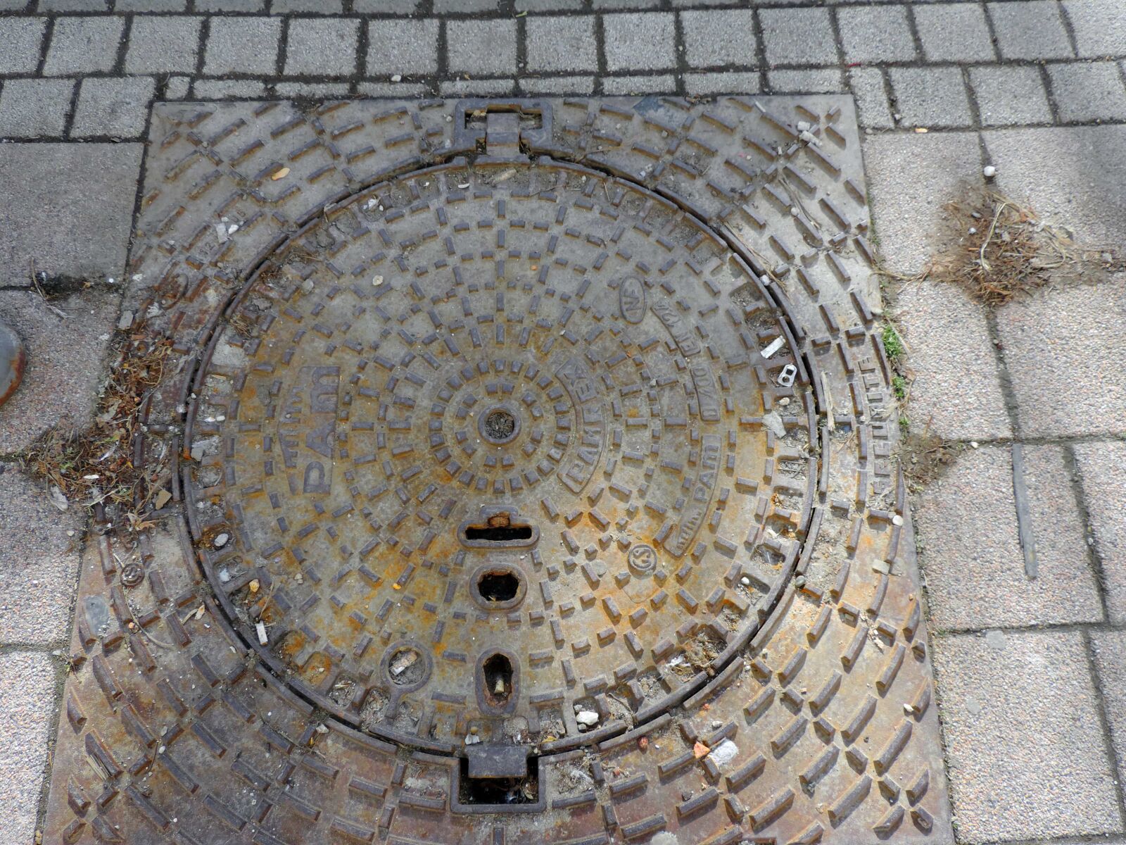 Nikon Coolpix P520 sample photo. Cast iron, manhole, covering photography