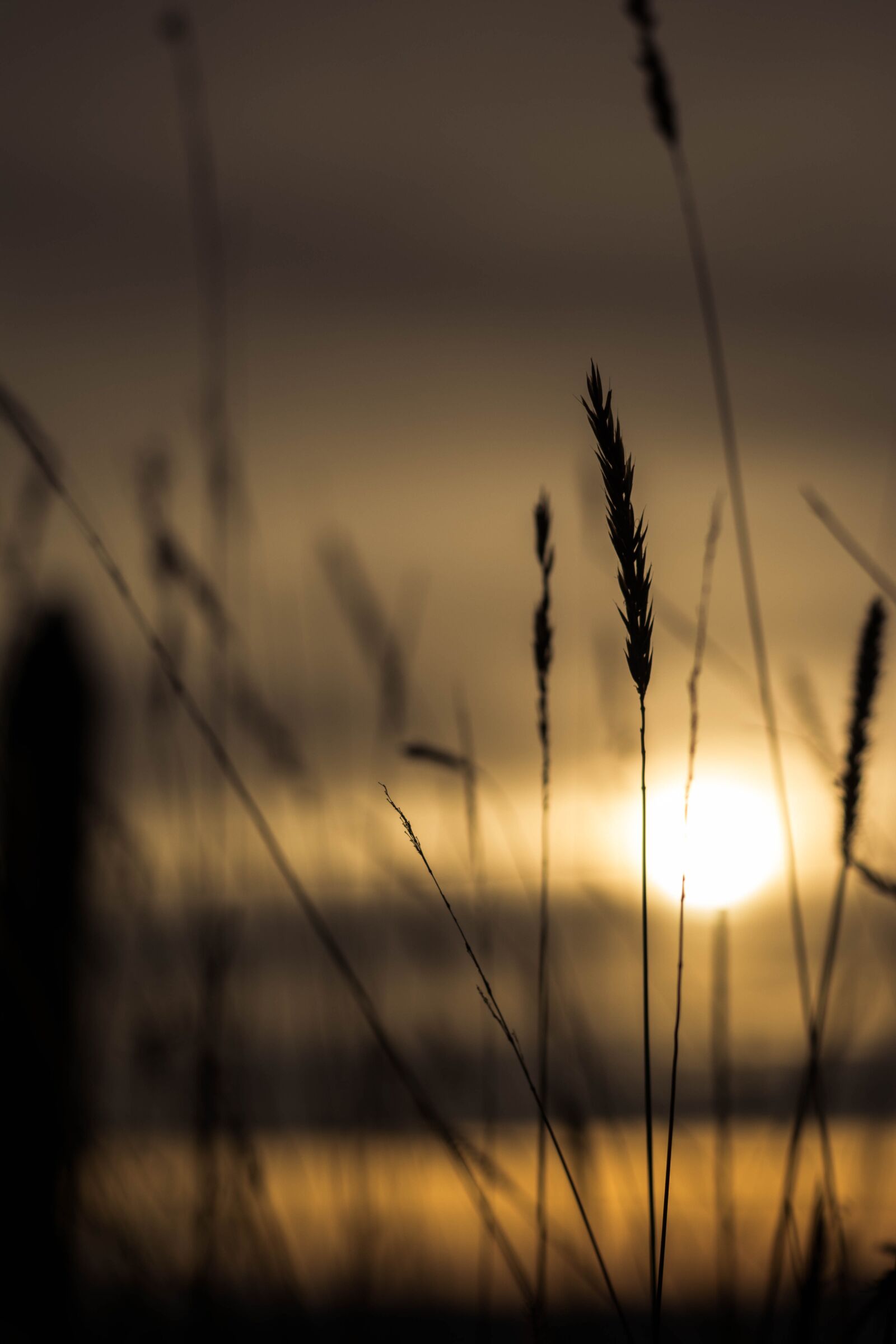 Nikon D5200 sample photo. Landscape, dawn, sun photography