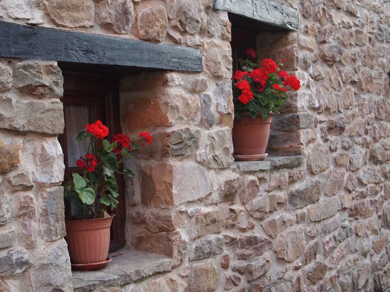 Olympus PEN E-PL1 sample photo. Window, wall, pots photography