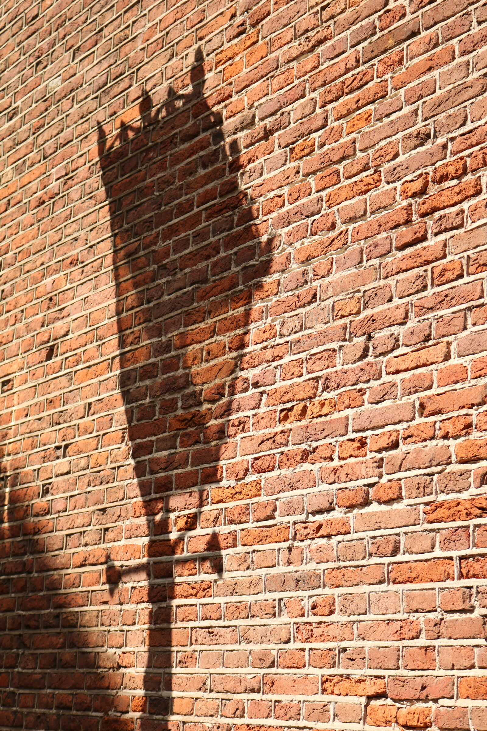 Canon EOS 750D (EOS Rebel T6i / EOS Kiss X8i) sample photo. Brick, wall, wall photography