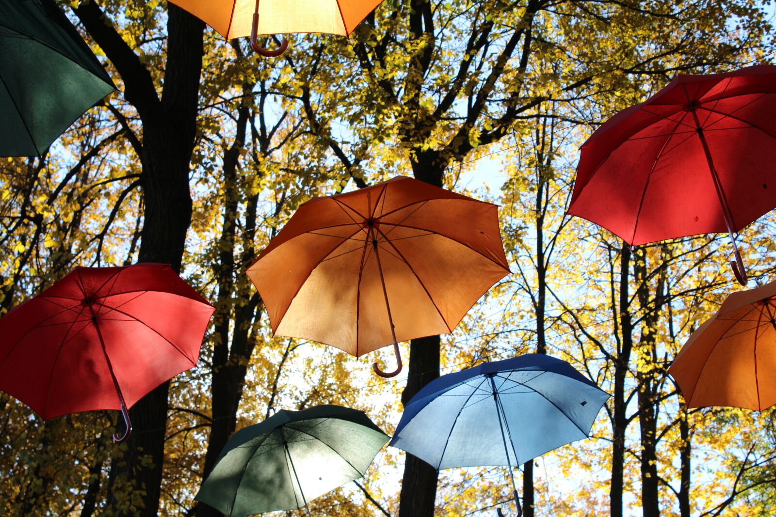 Canon EOS 1200D (EOS Rebel T5 / EOS Kiss X70 / EOS Hi) sample photo. Umbrellas, sun, trees photography