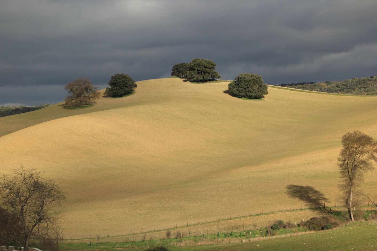 Canon EOS 550D (EOS Rebel T2i / EOS Kiss X4) sample photo. Spain, hills, landscape photography