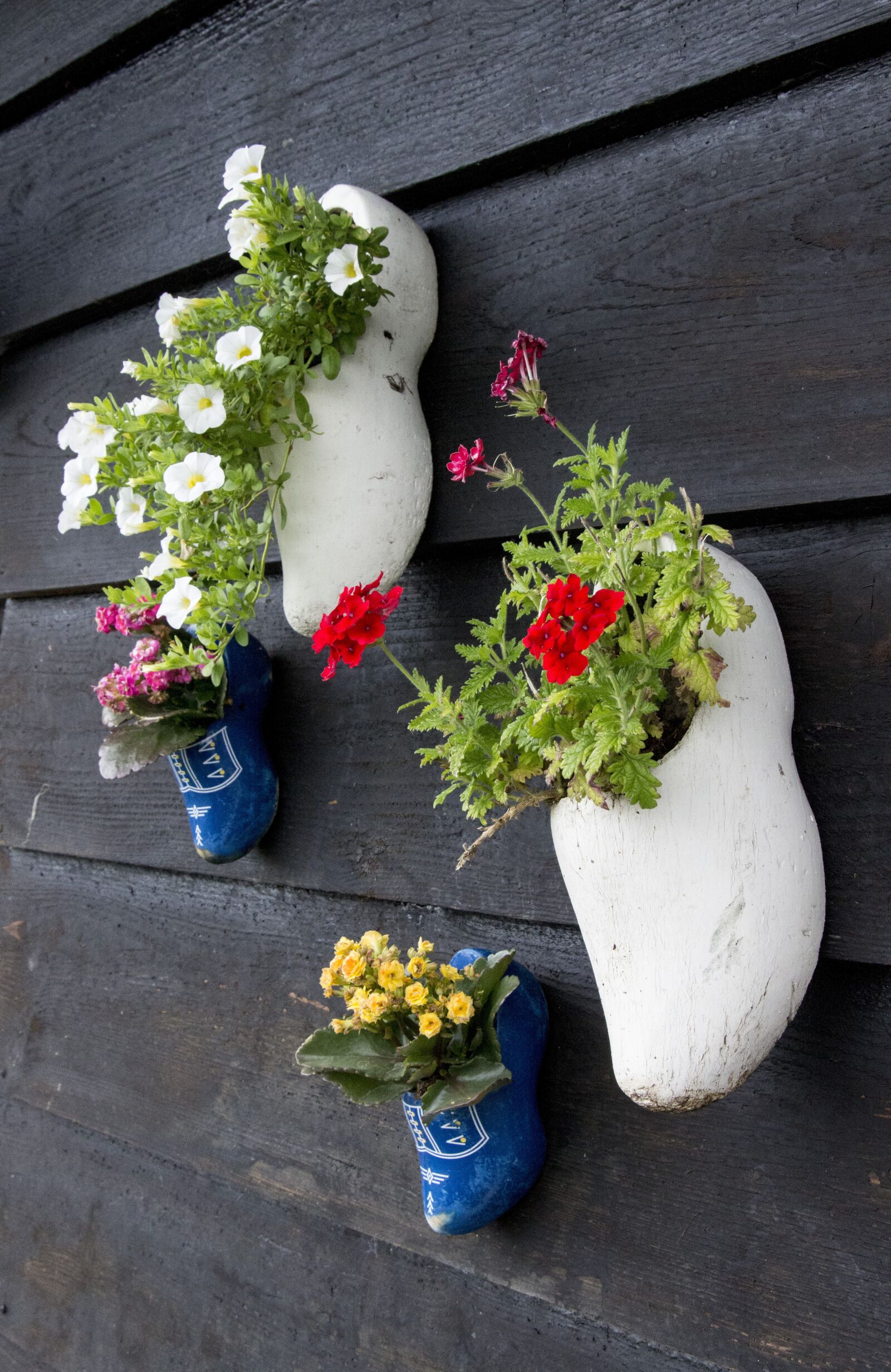 Canon EOS 600D (Rebel EOS T3i / EOS Kiss X5) sample photo. Holland, shoes, flowerpot photography