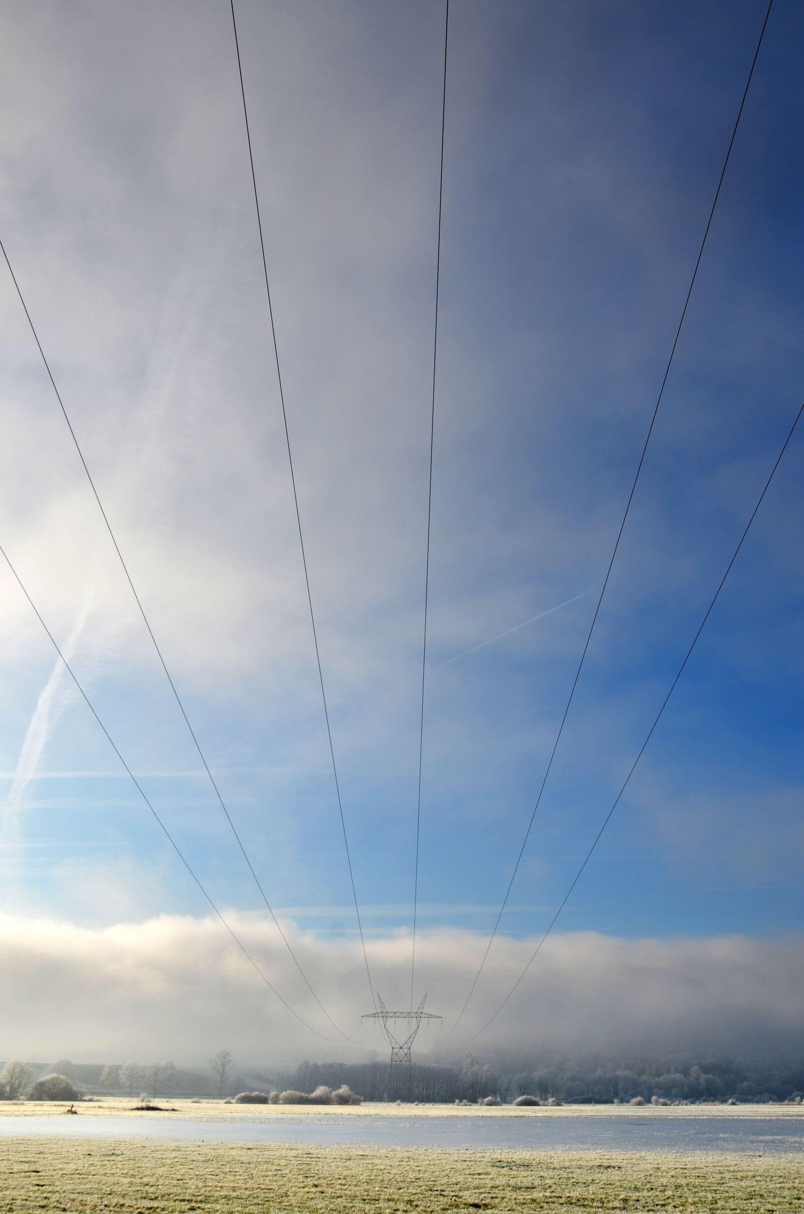 Nikon D5100 sample photo. Frost, cold, winter photography