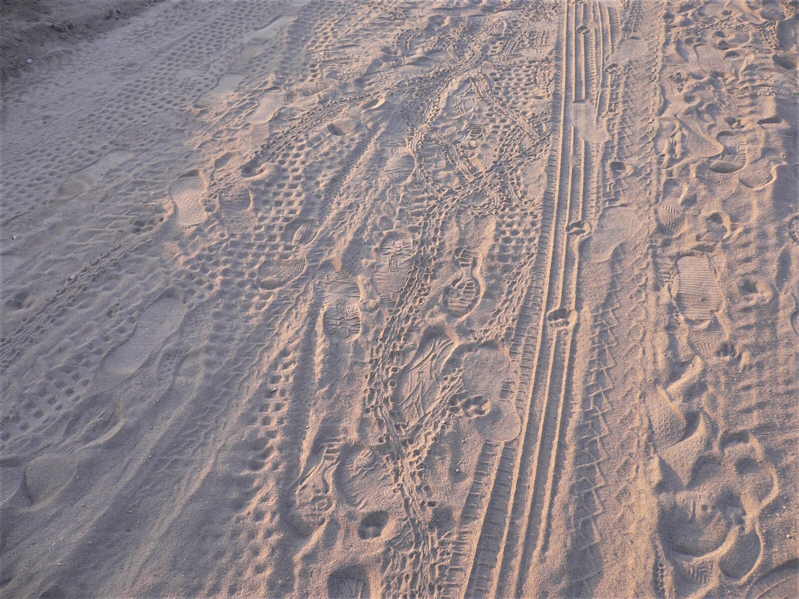 Panasonic DMC-FX7 sample photo. Traces, sand, beach photography