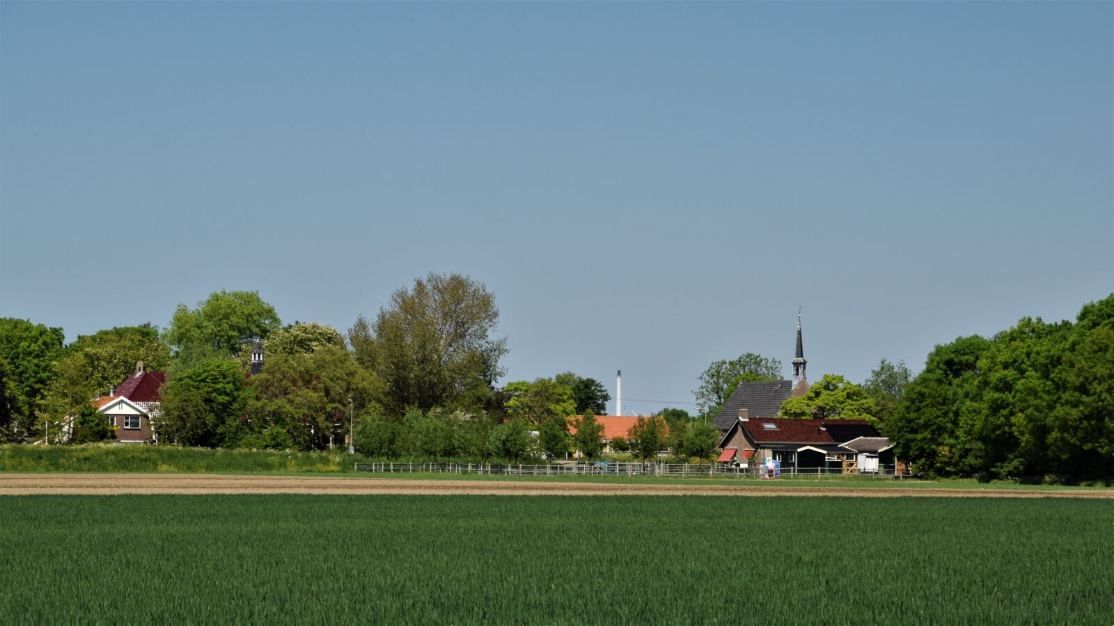 Nikon D3300 sample photo. Tinte, polder, spring photography