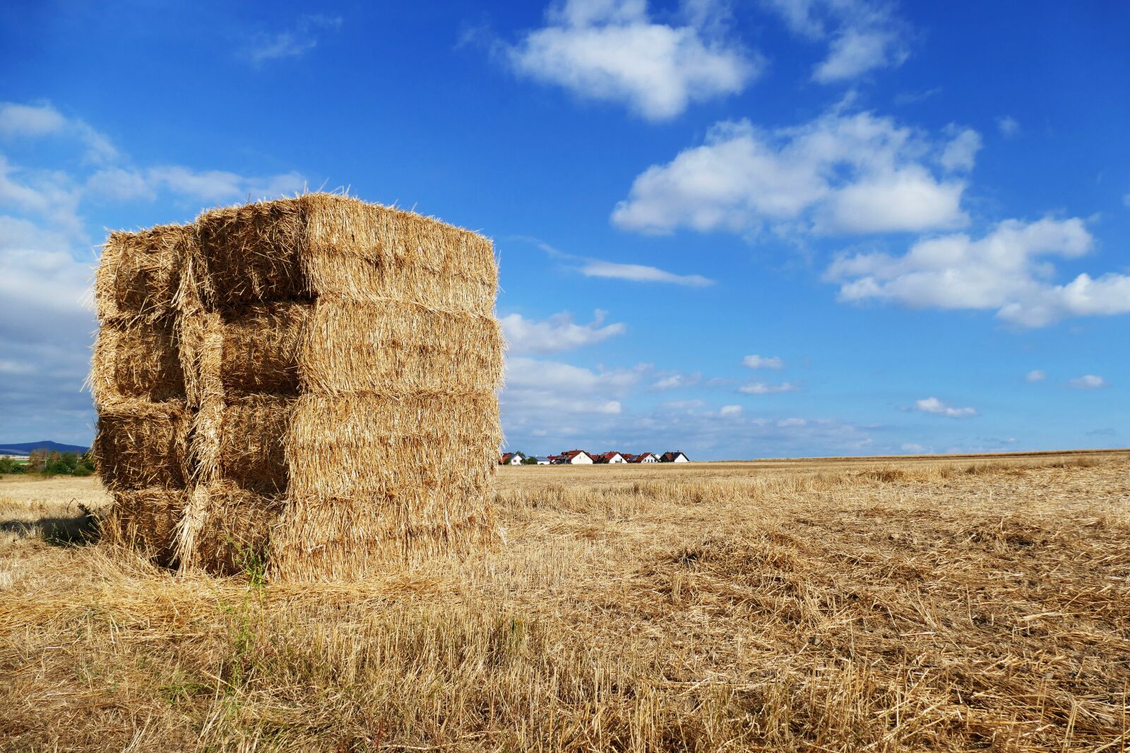 Panasonic Lumix DMC-FZ1000 sample photo. Straw, hay, harvest photography