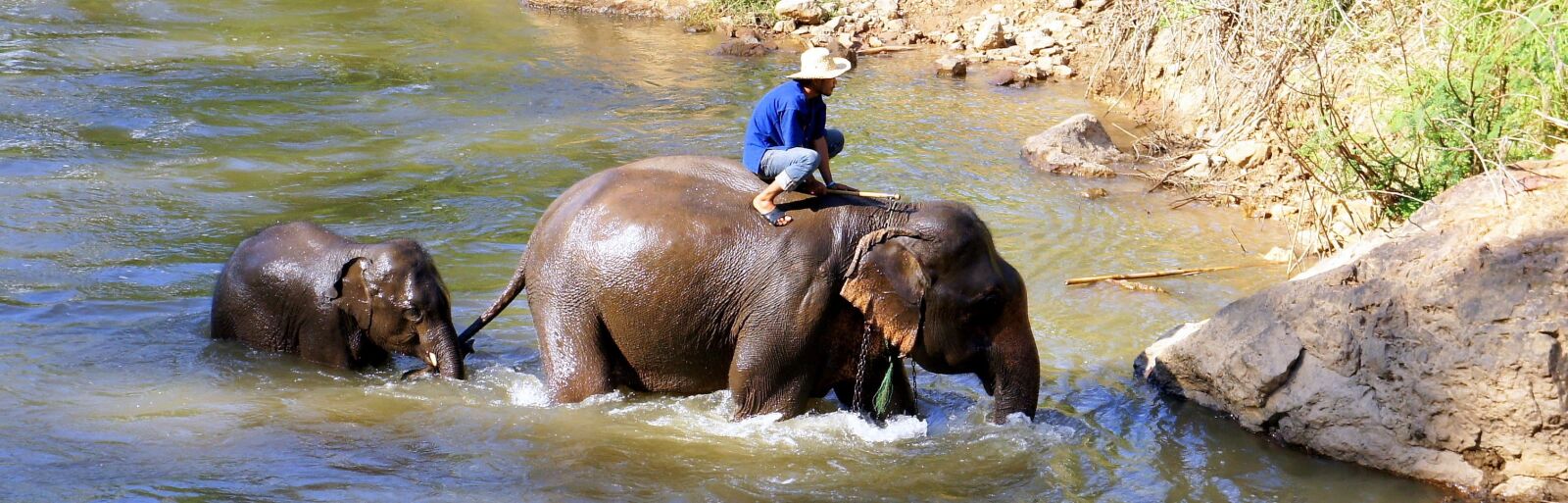 Sony Alpha NEX-3 + Sony E 18-55mm F3.5-5.6 OSS sample photo. Elephant, safari, trekking photography