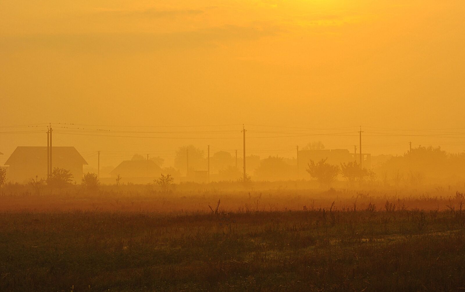 Nikon D3000 sample photo. Fog, village, rasvet photography