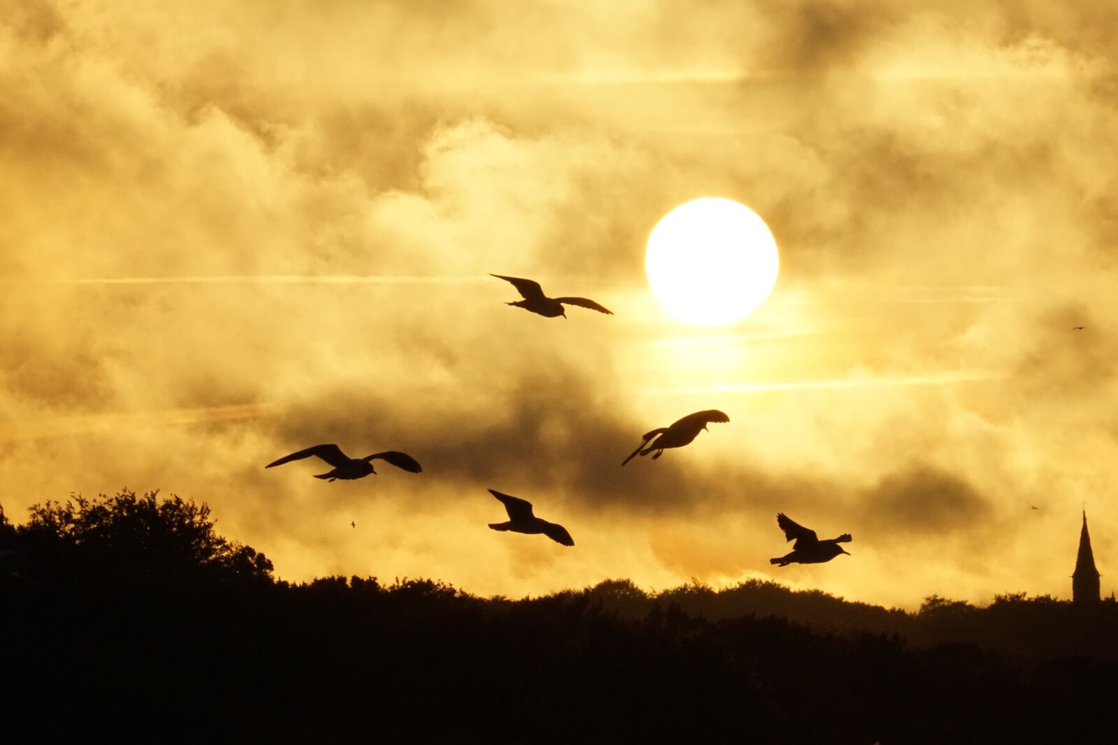 Sony E 70-350mm F4.5-6.3 G OSS sample photo. Gulls, sunset, sea photography