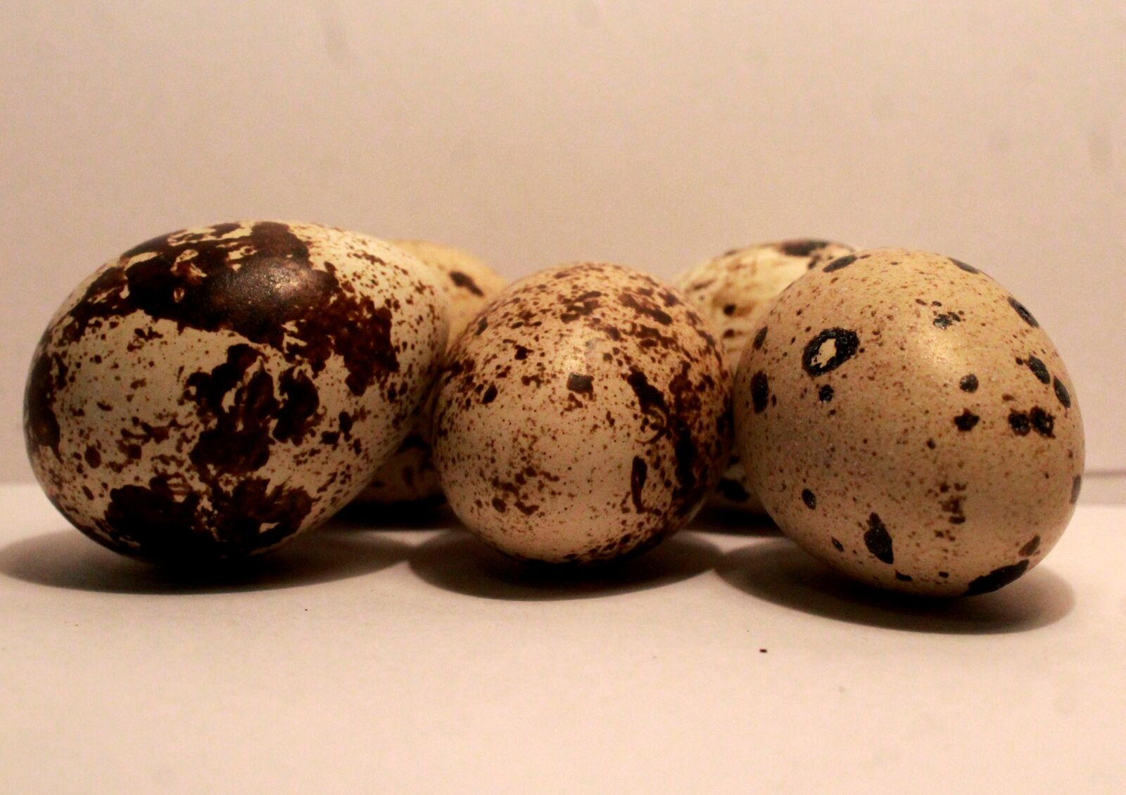 Canon EOS 1200D (EOS Rebel T5 / EOS Kiss X70 / EOS Hi) sample photo. Eggs, egg, easter photography