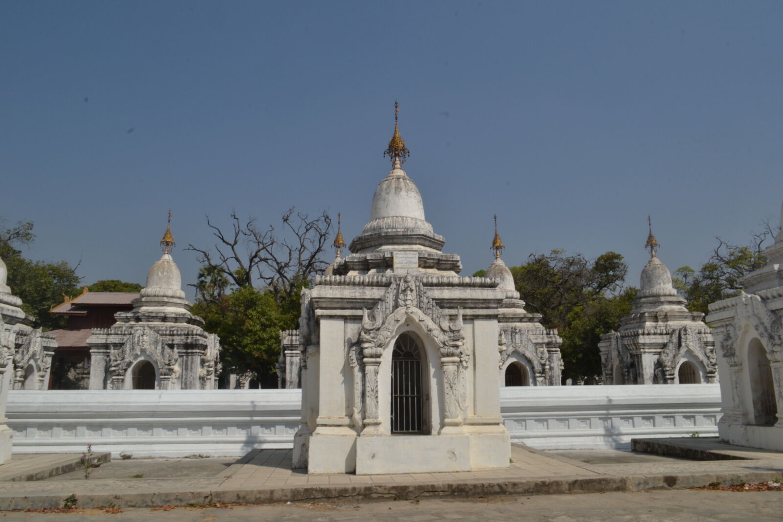Nikon D3100 sample photo