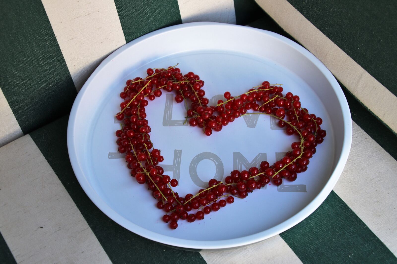 Canon EOS 80D sample photo. Heart, fruit, currant photography