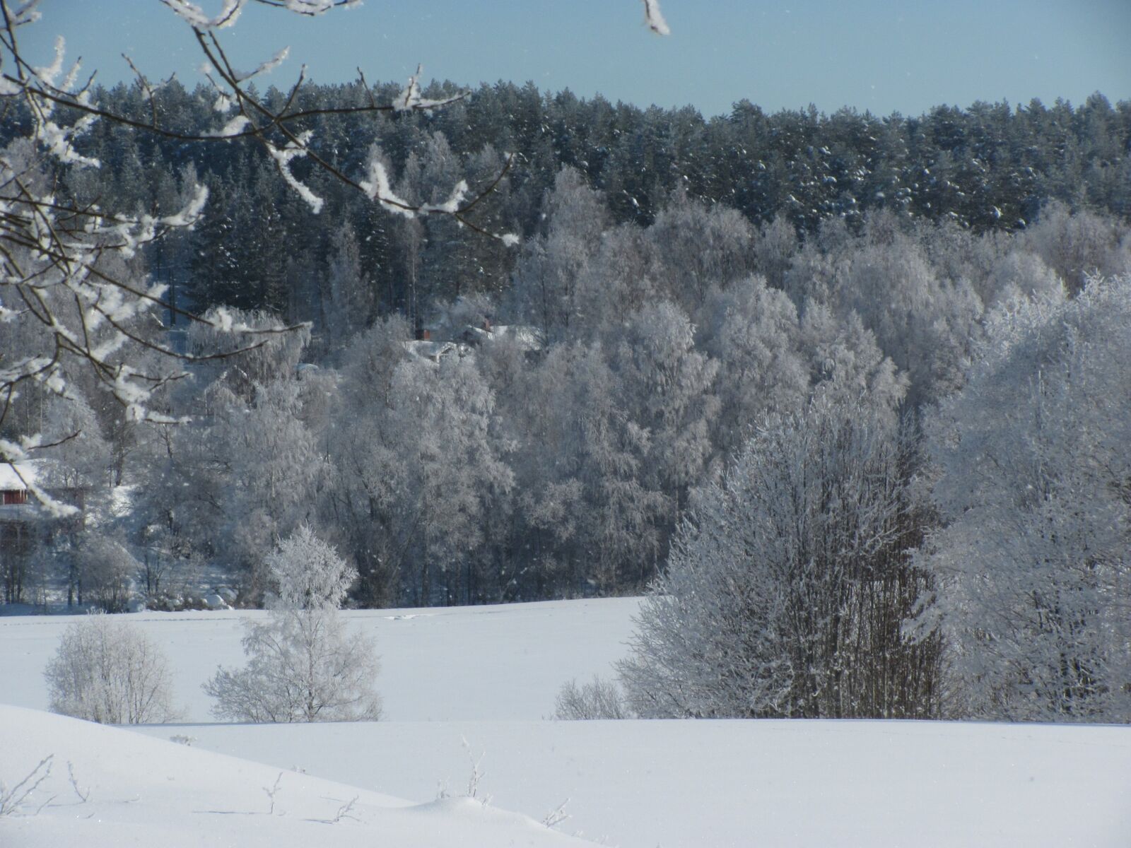 Canon PowerShot SX120 IS sample photo. Winter, snow photography