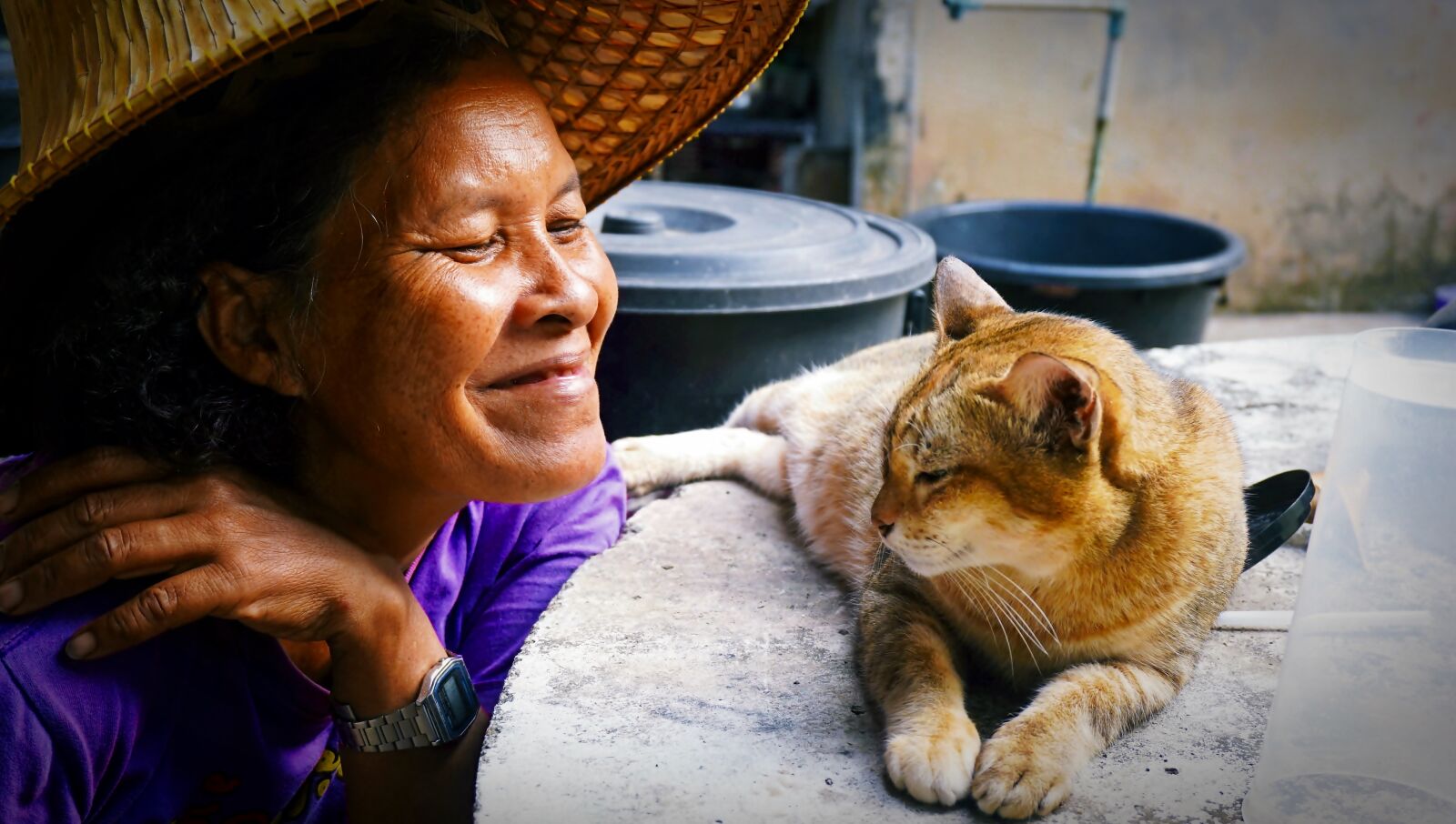 Sony E 16-50mm F3.5-5.6 PZ OSS sample photo. Tabby cat, cat, friend photography