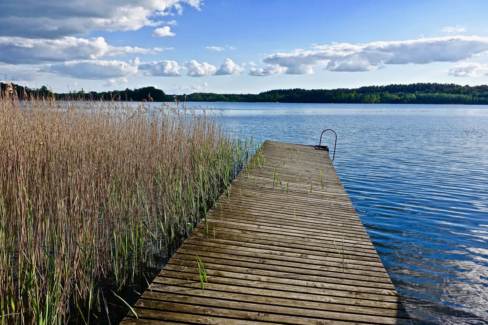 Sony Cyber-shot DSC-RX100 III sample photo. Perspective, pier, lake photography