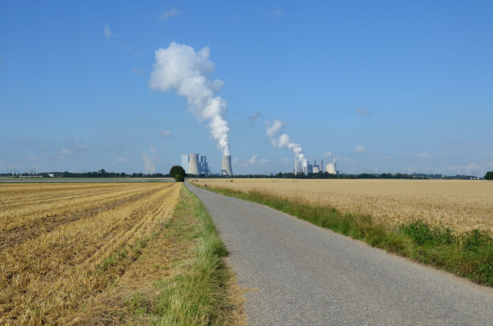 Nikon D5100 sample photo. Landscape, field, agriculture photography