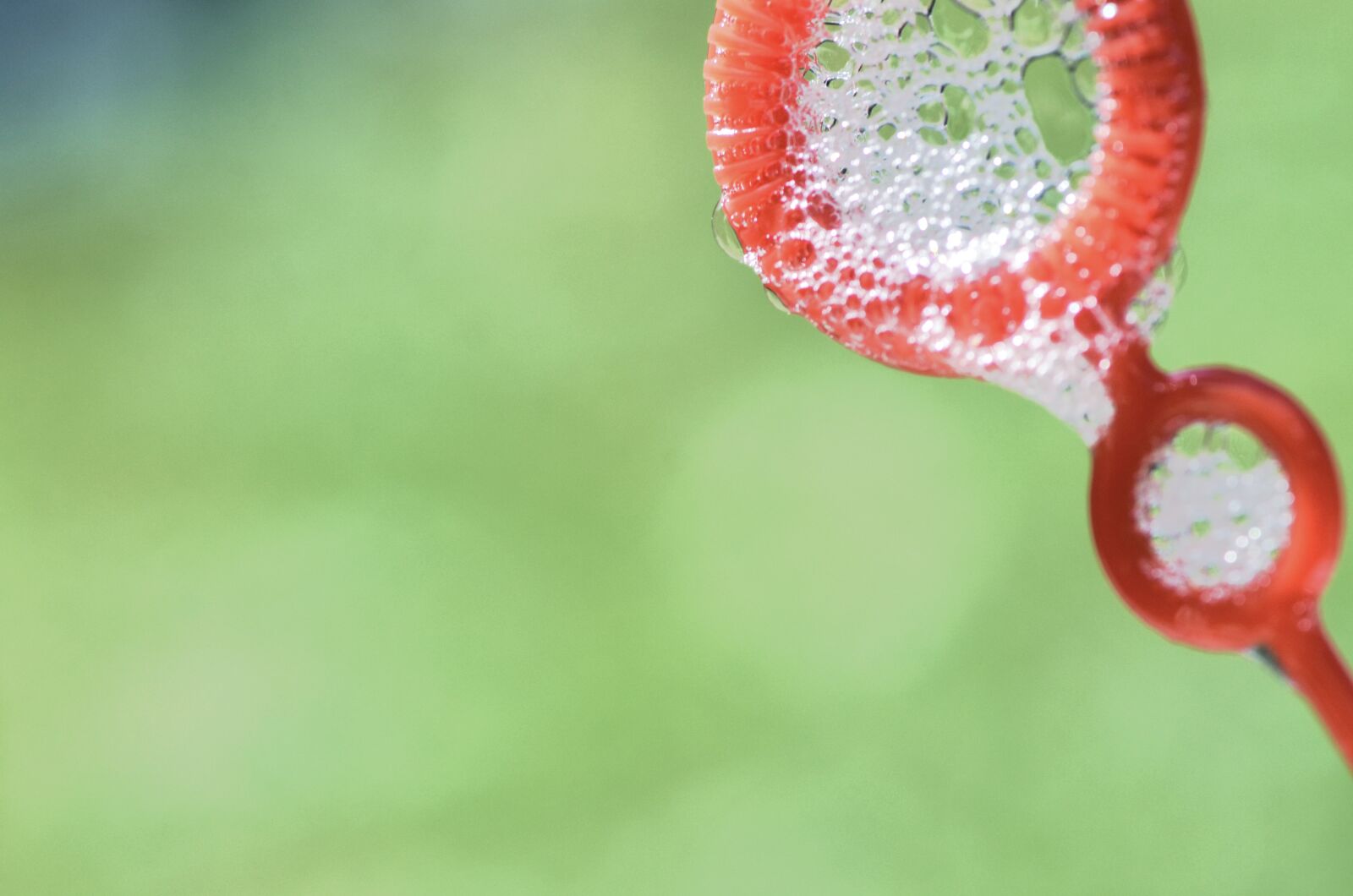 Nikon D7000 sample photo. Soap bubbles, red, green photography