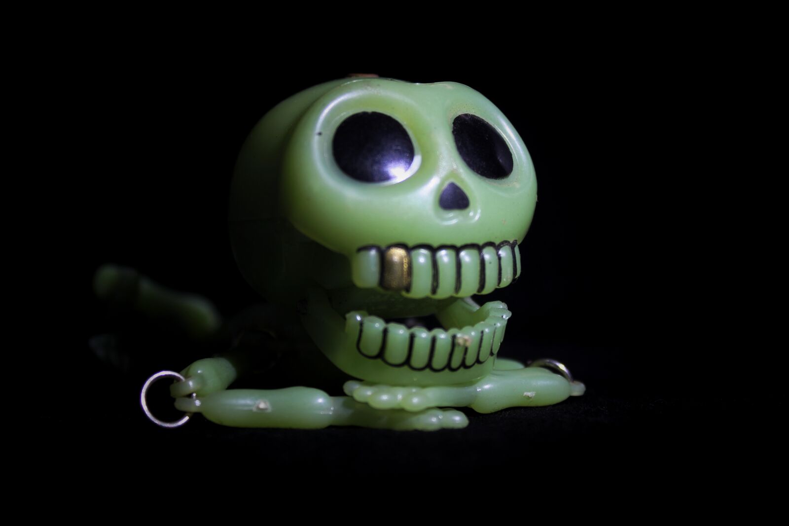 Canon EOS 1300D (EOS Rebel T6 / EOS Kiss X80) sample photo. Skull, skeleton, picture photography