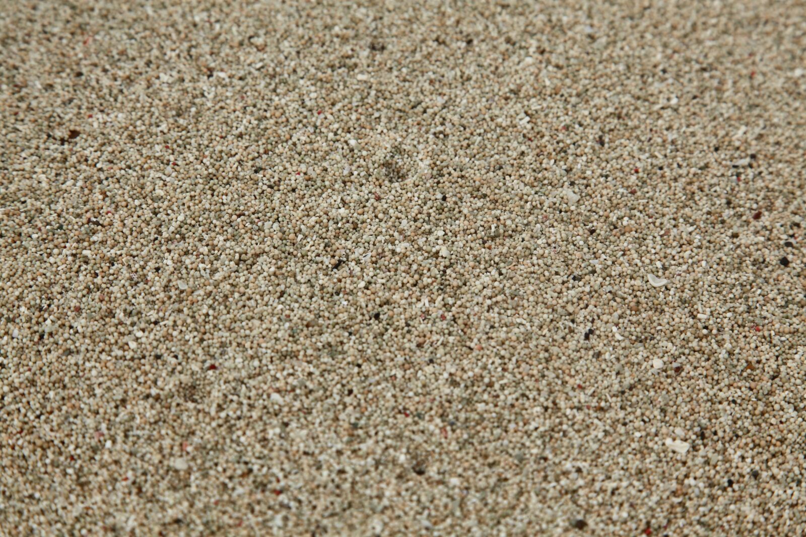 Canon EOS 5D Mark II sample photo. Sha, sand beach, sand photography