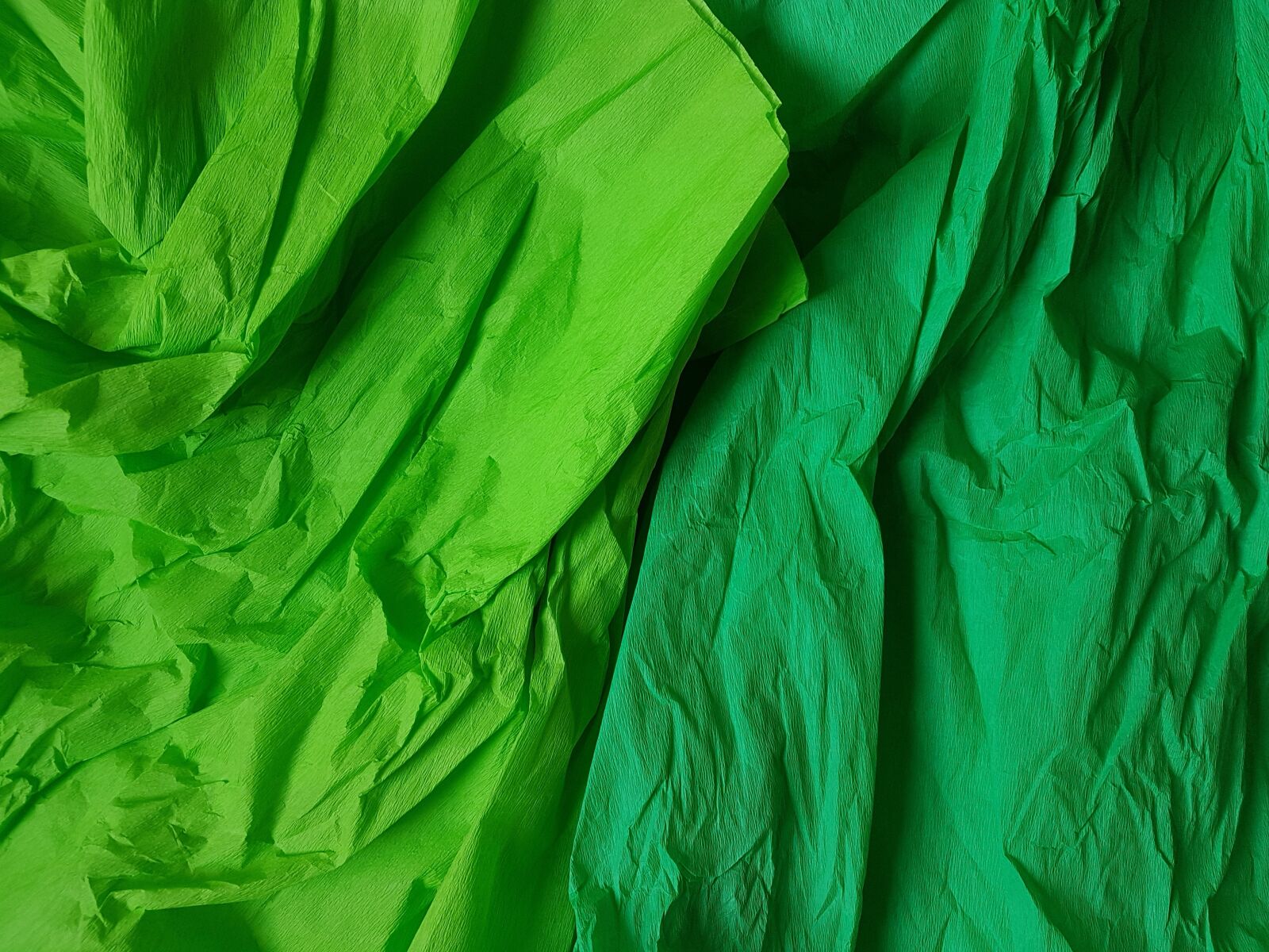 Samsung Galaxy S7 Edge sample photo. Green background, paper, new photography