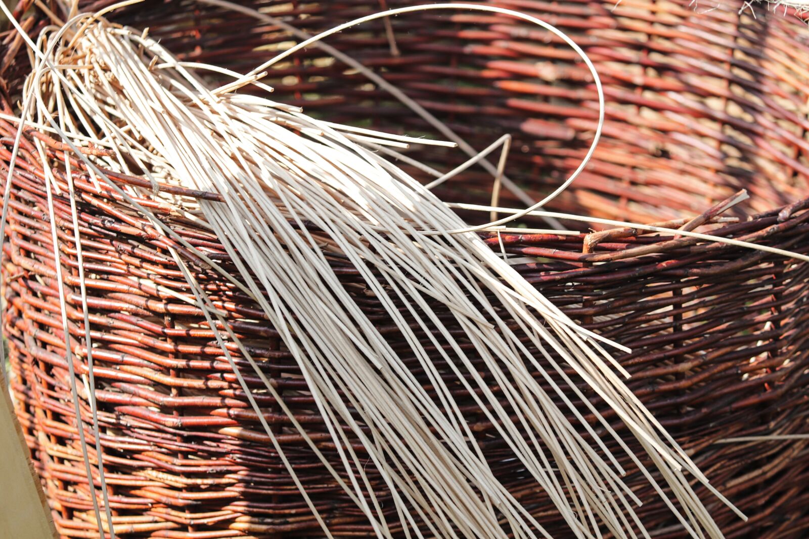 Canon EOS 200D (EOS Rebel SL2 / EOS Kiss X9) sample photo. Basket, wicker basket, woven photography