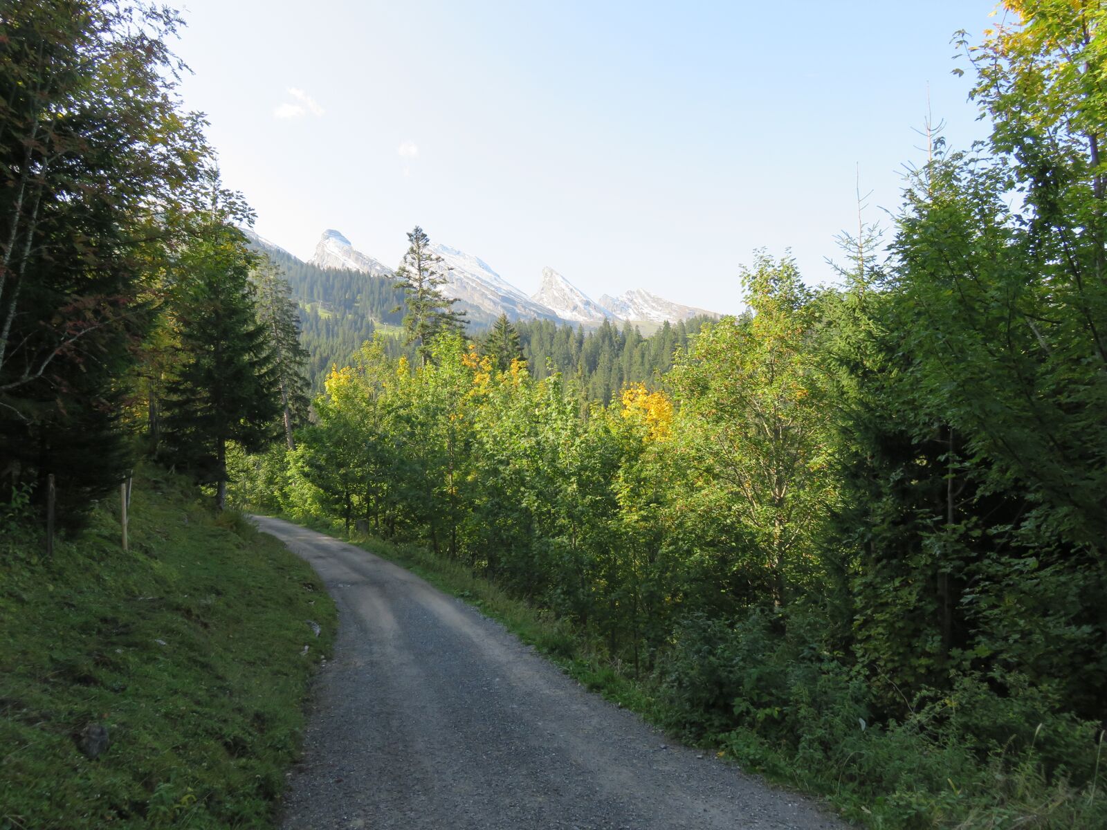 Canon PowerShot SX710 HS sample photo. Switzerland, mountains, view photography