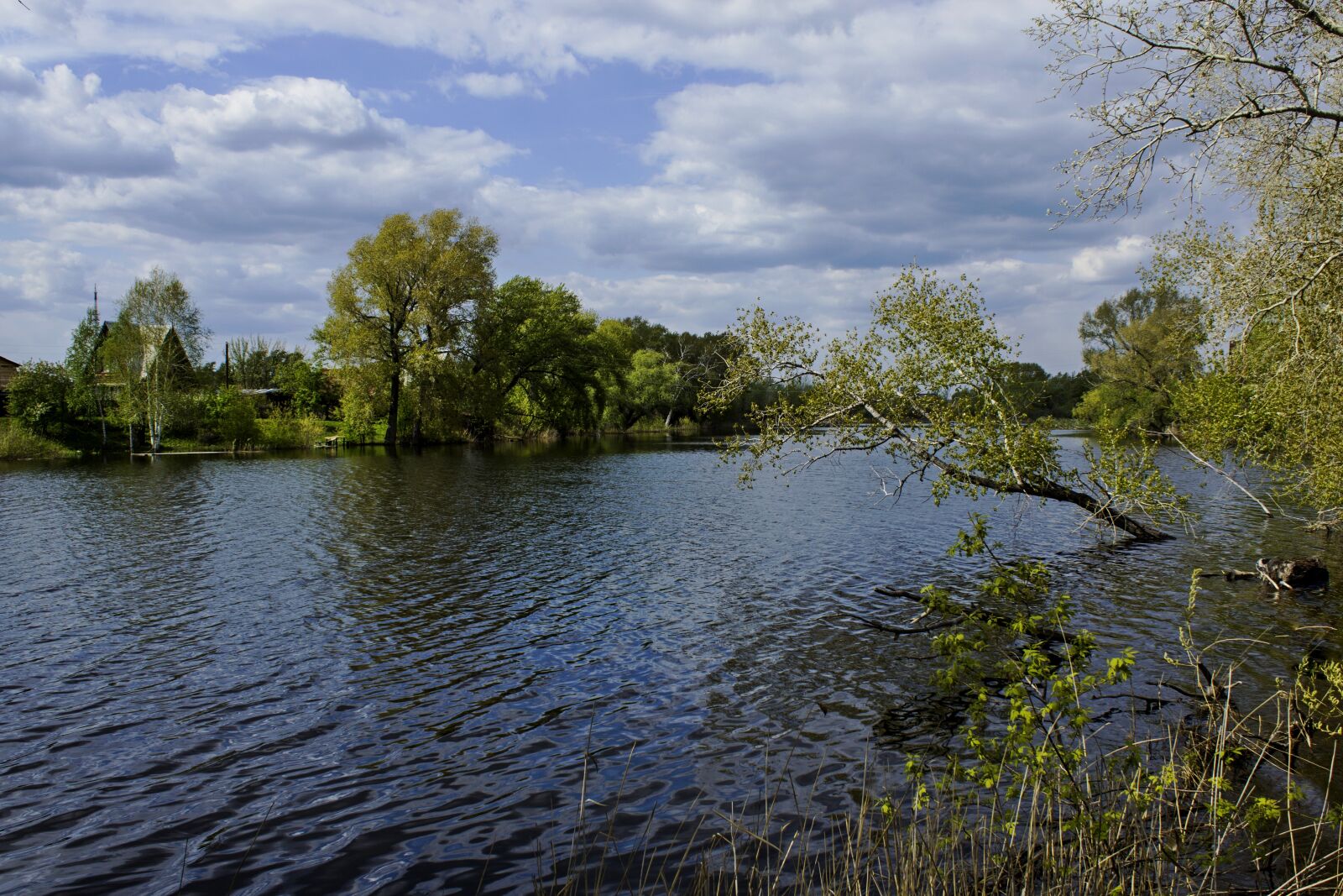 Canon EOS 600D (Rebel EOS T3i / EOS Kiss X5) sample photo. The river tobol, spring photography