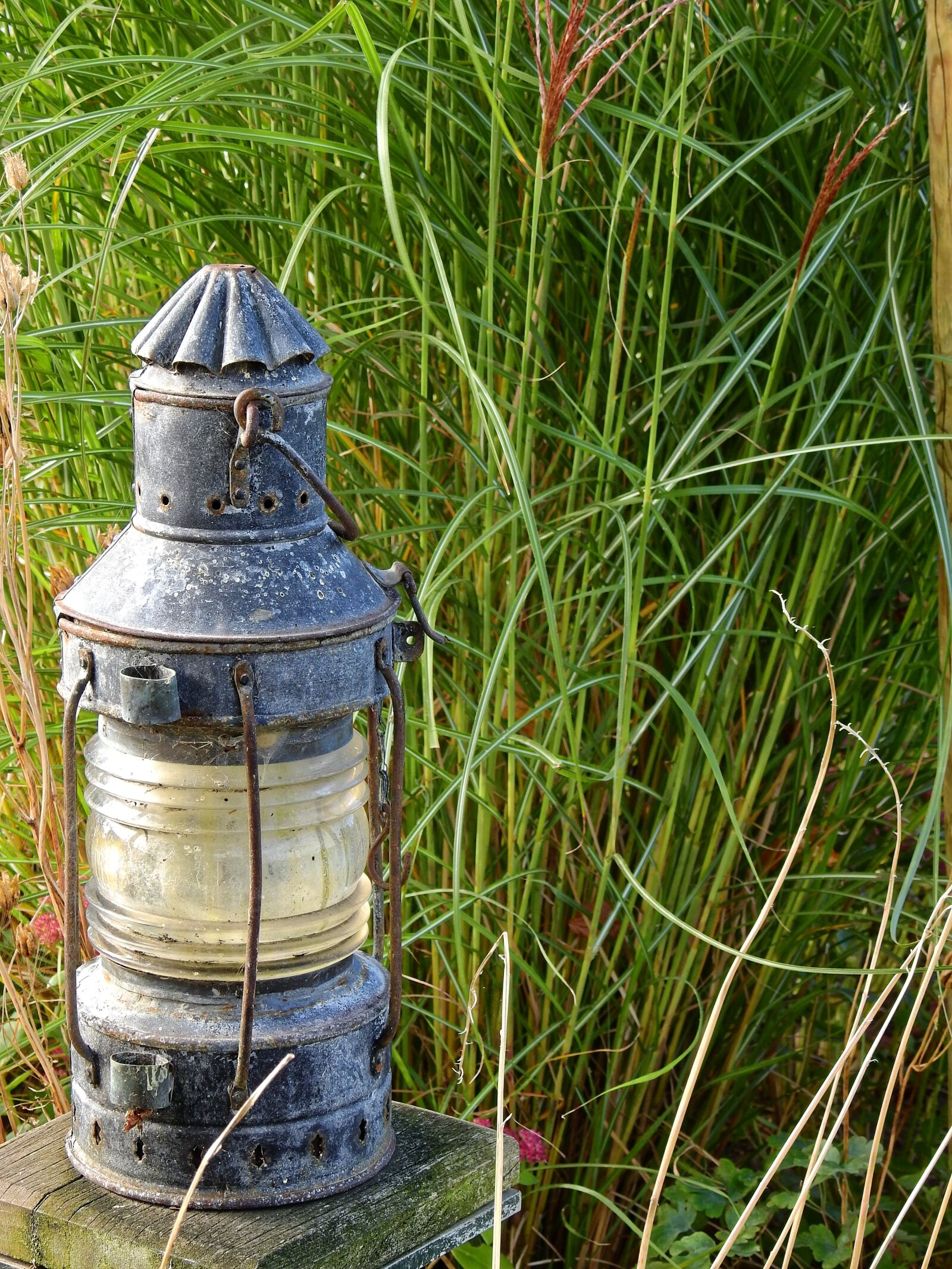 Nikon Coolpix P900 sample photo. Lantern, windlight, lamp photography