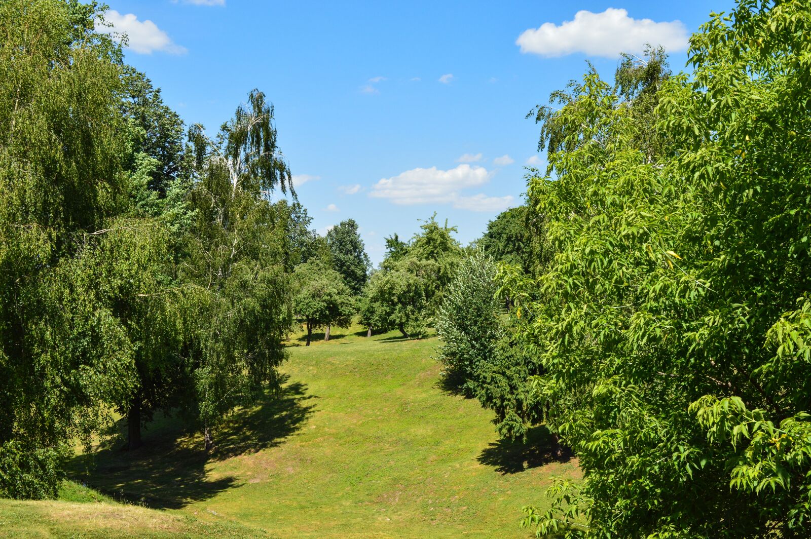 Nikon D3200 sample photo. Nature, ravine, summer photography