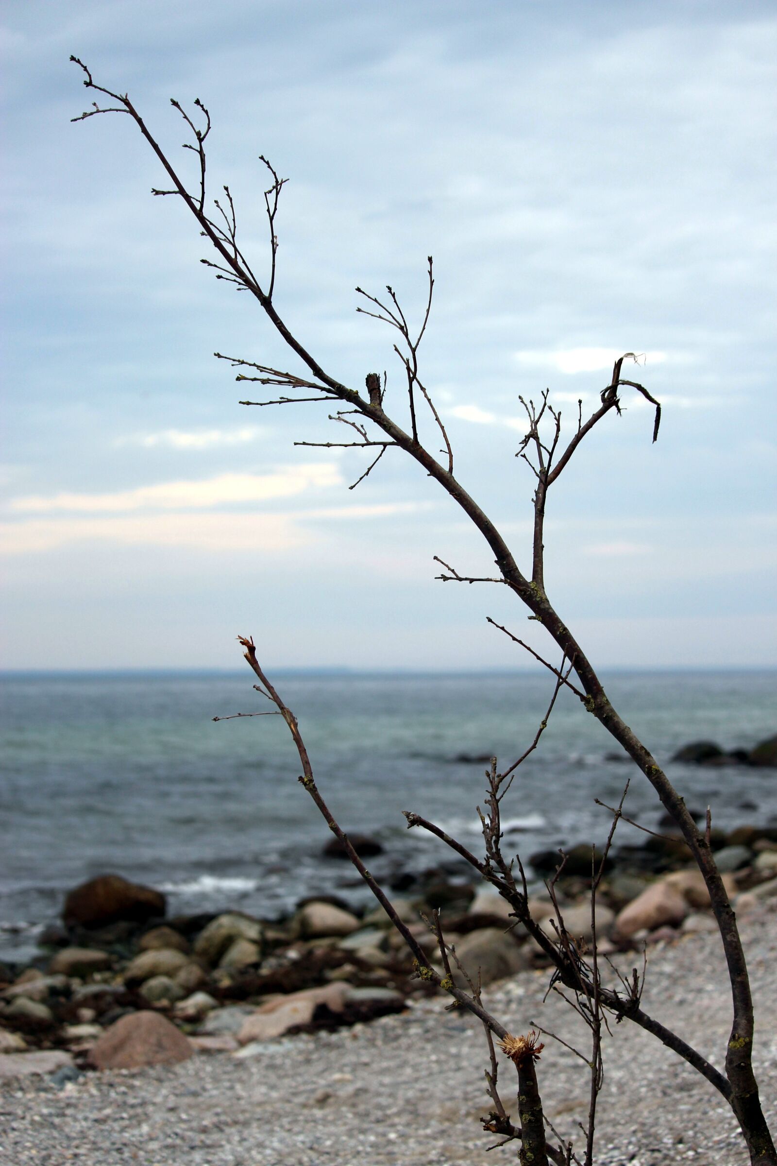 Canon EF-S 55-250mm F4-5.6 IS STM sample photo. Baltic sea, sea, coast photography